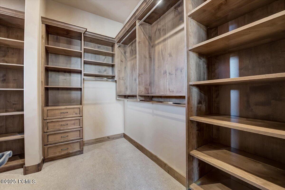 2530 Palomino Trail