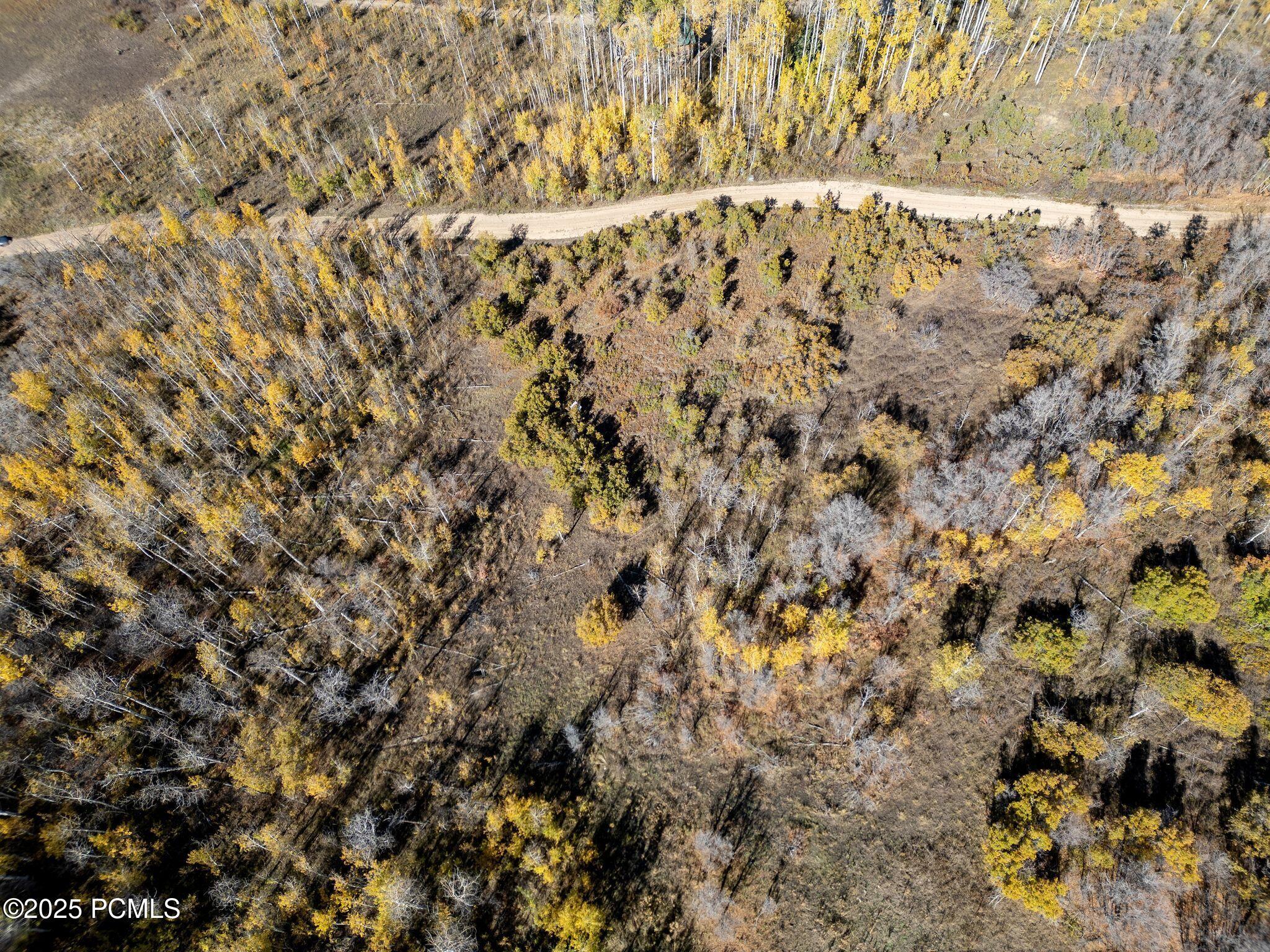 276 W Bear Tooth Ridge, 25