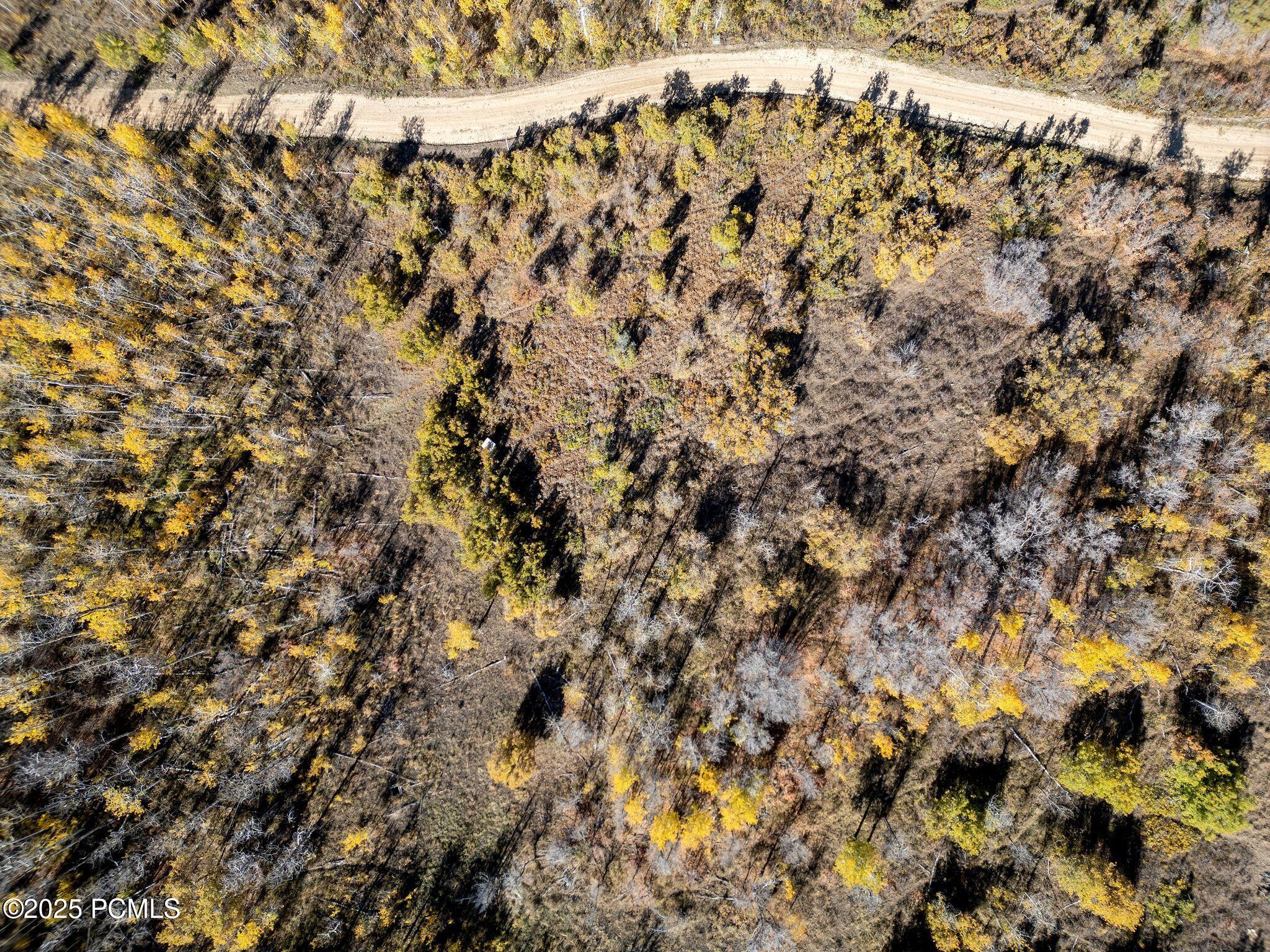 276 W Bear Tooth Ridge, 25