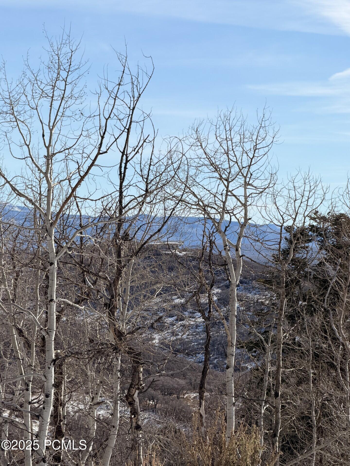 10215 N Basin Canyon Road