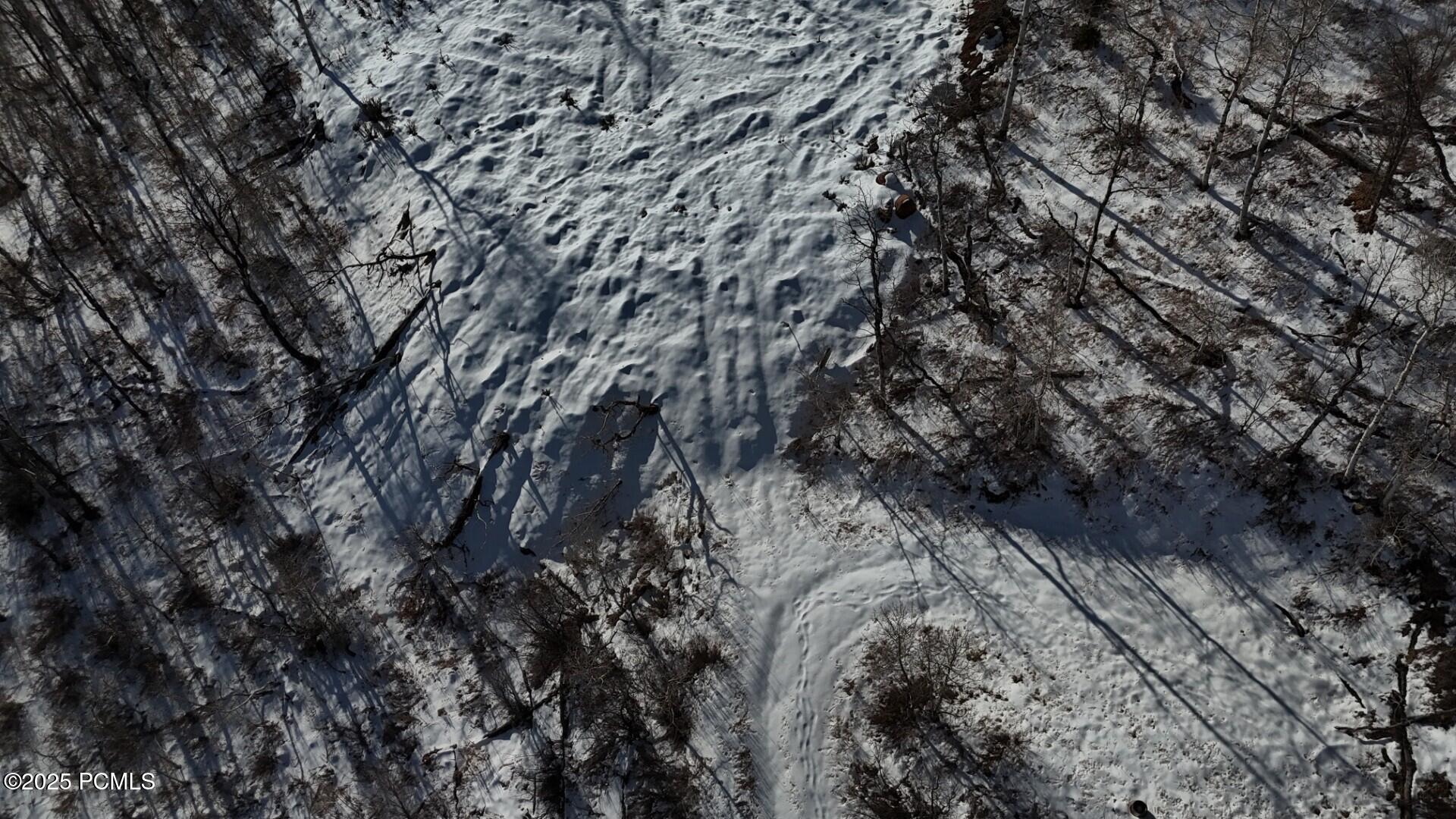 10215 N Basin Canyon Road