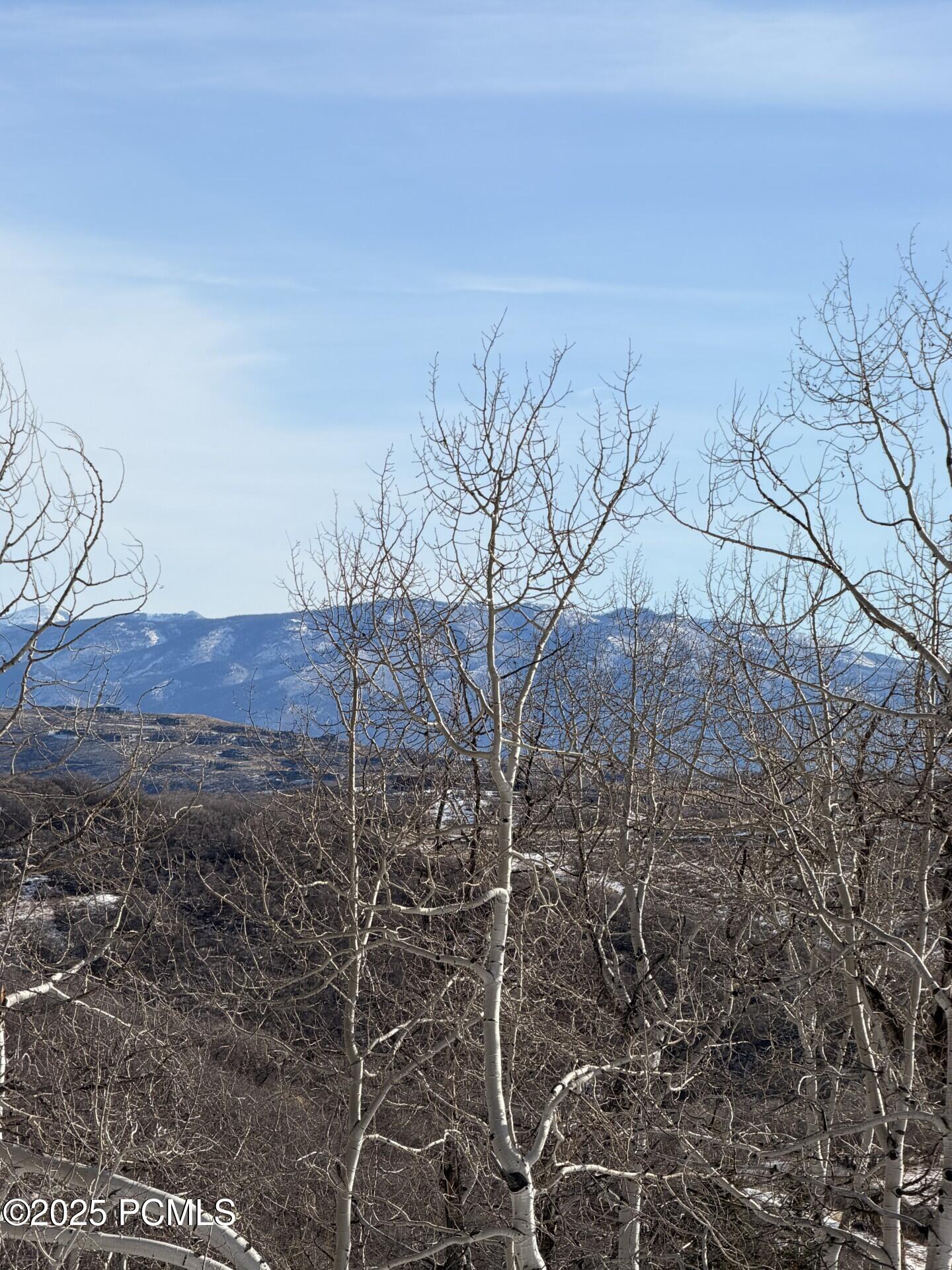 10215 N Basin Canyon Road