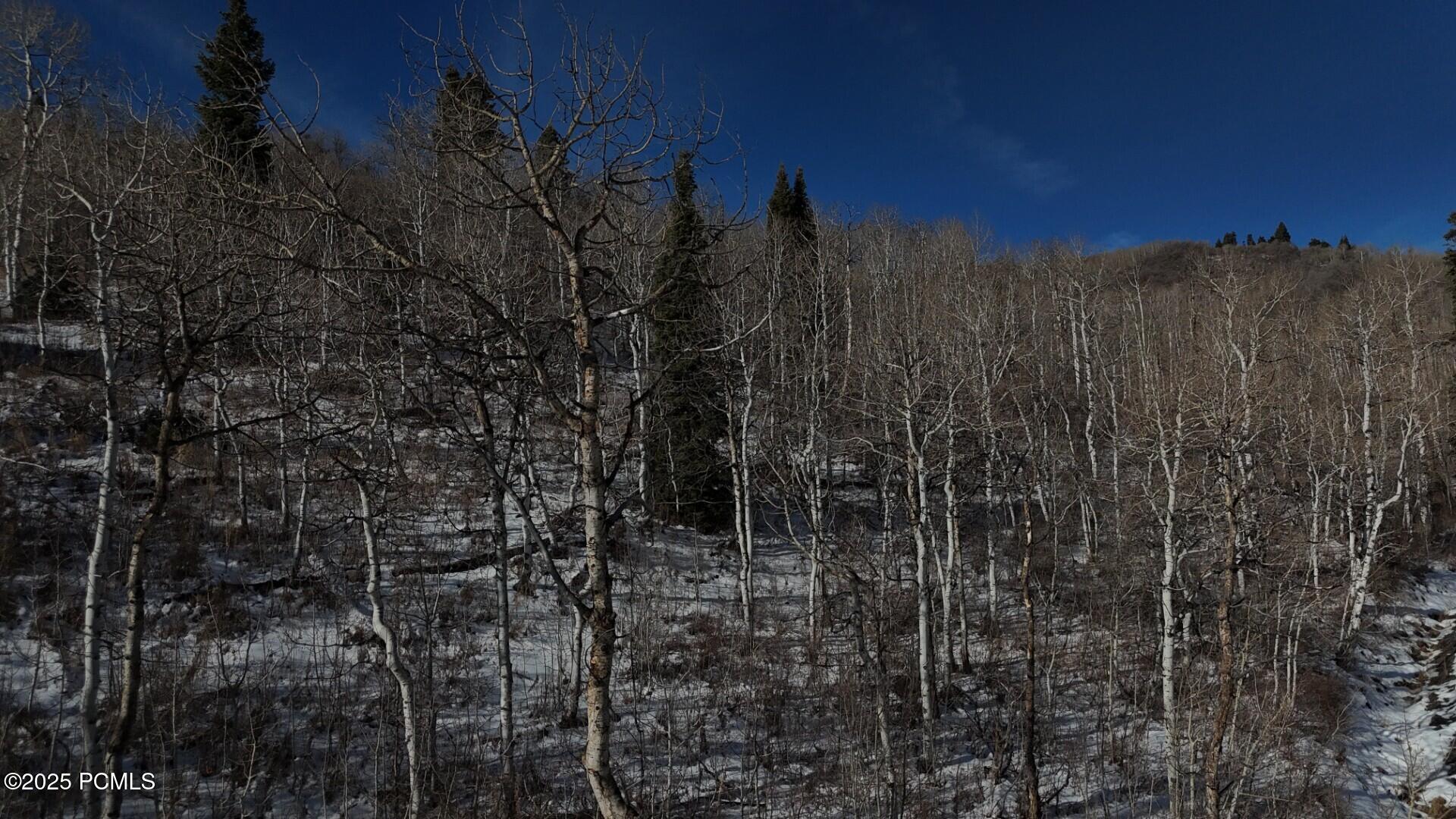 10215 N Basin Canyon Road