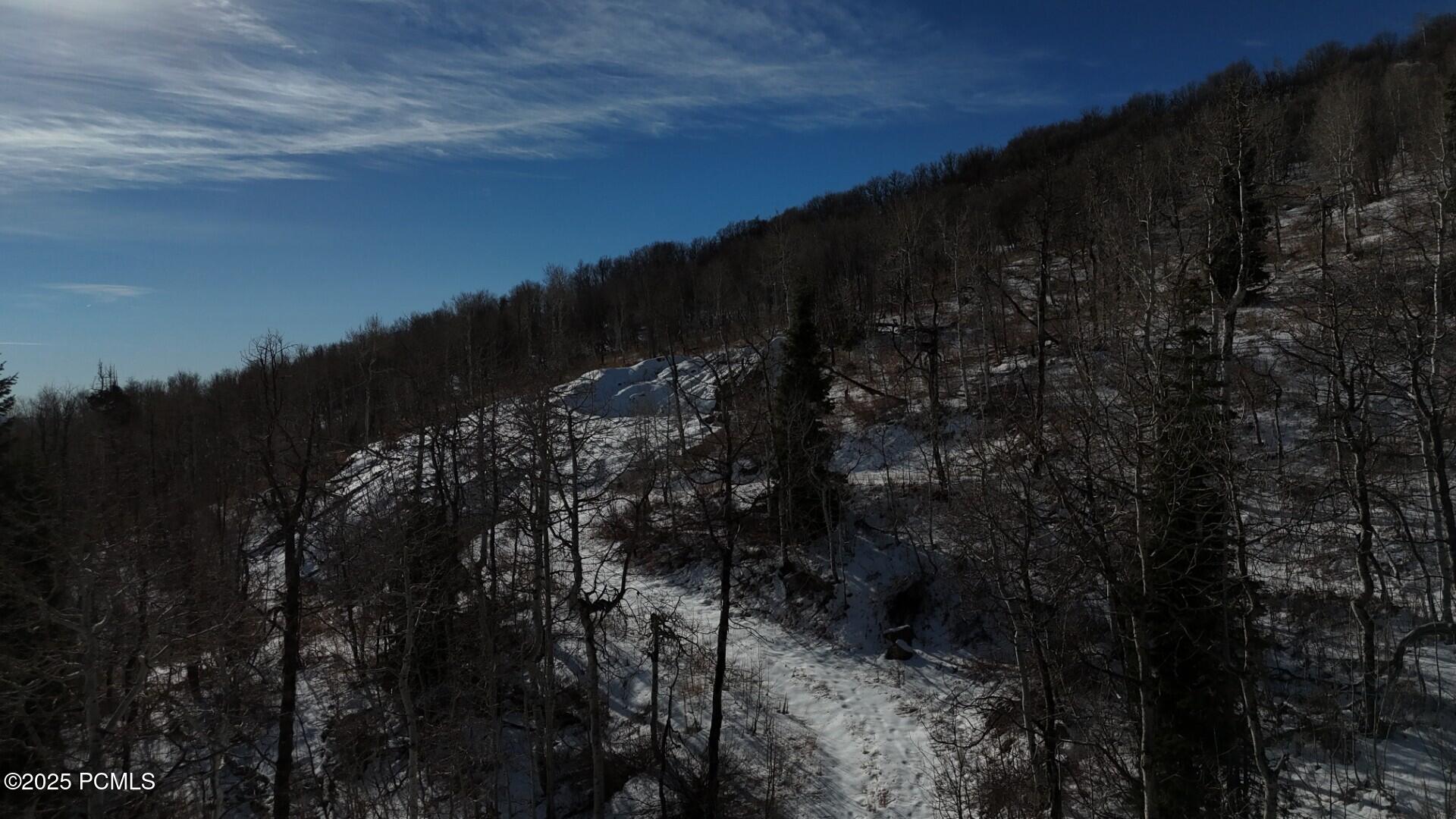 10215 N Basin Canyon Road