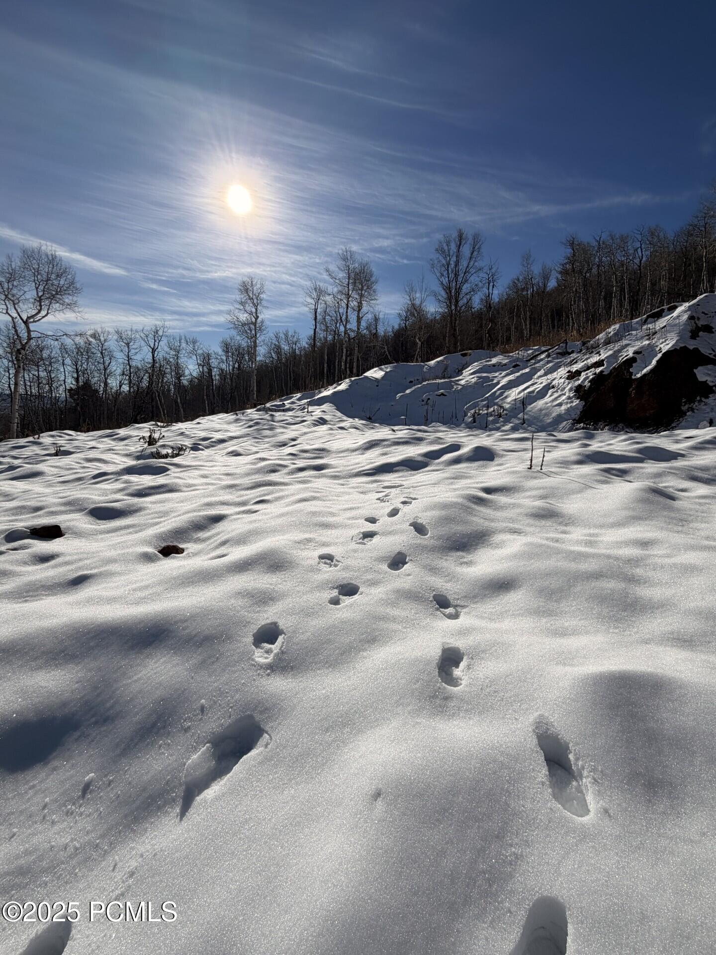 10215 N Basin Canyon Road