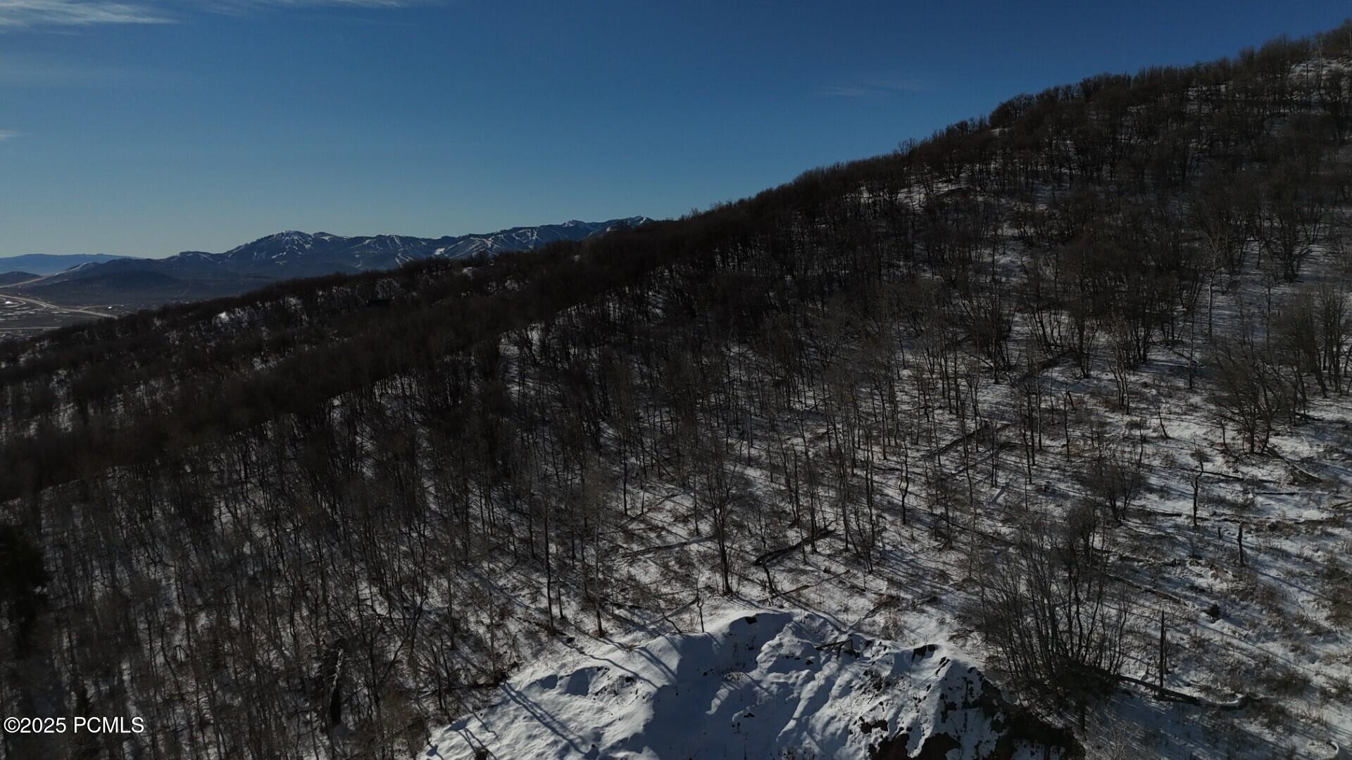 10215 N Basin Canyon Road