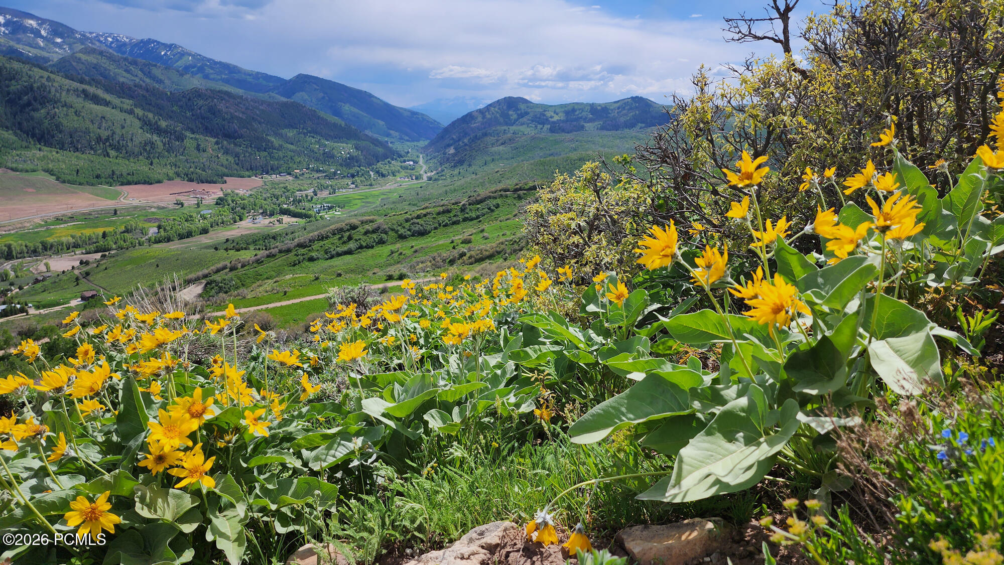 156 Mountain View 156