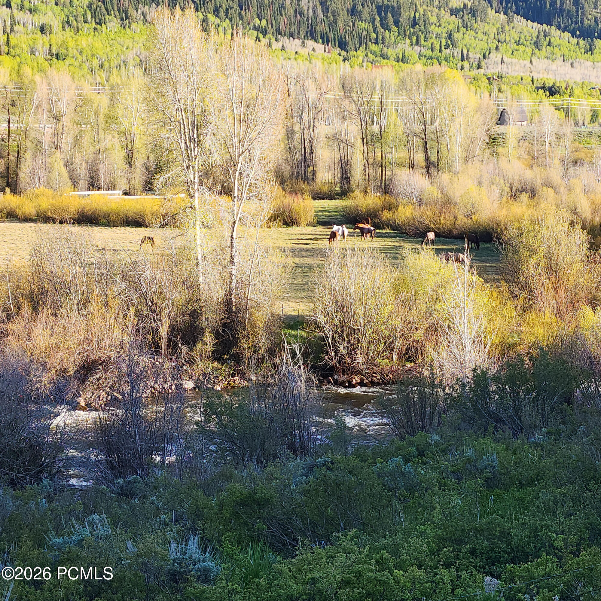 156 Mountain View 156