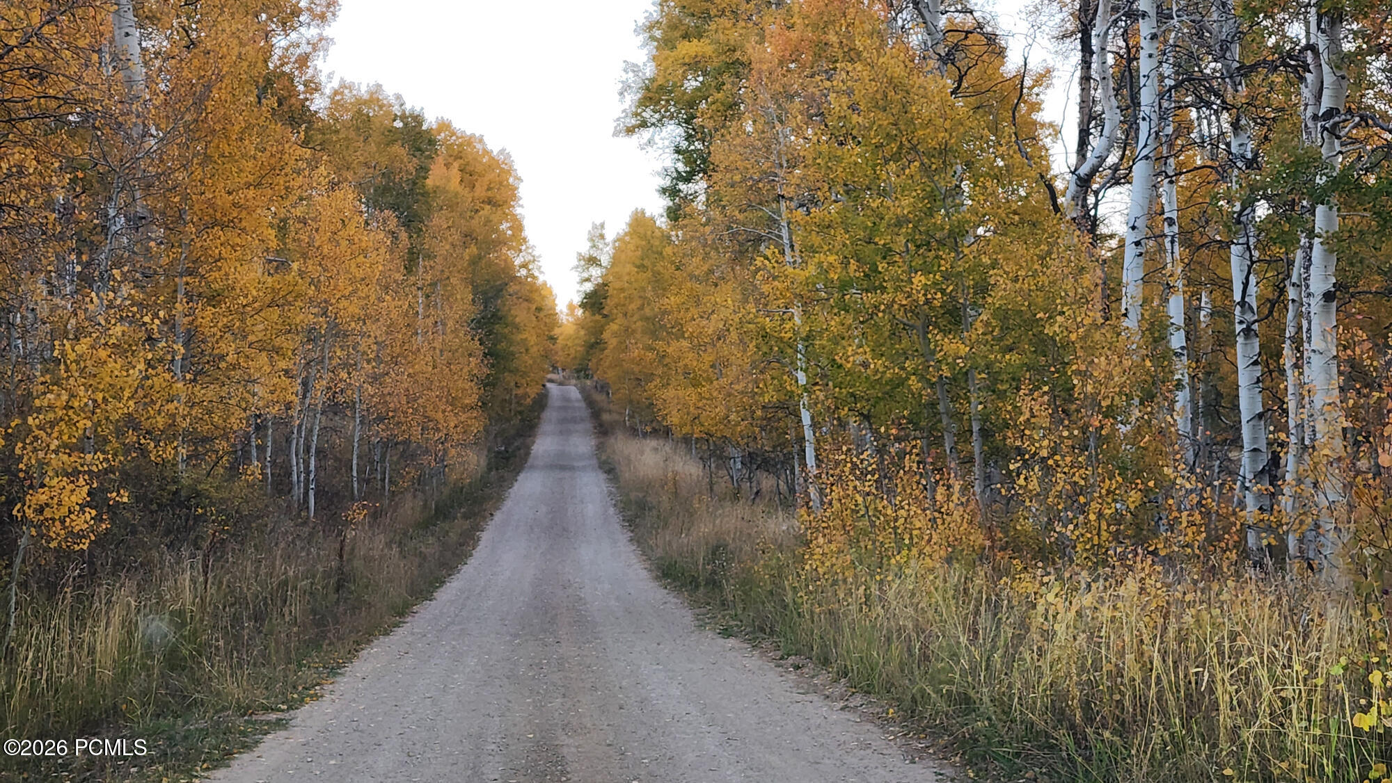 156 Mountain View 156