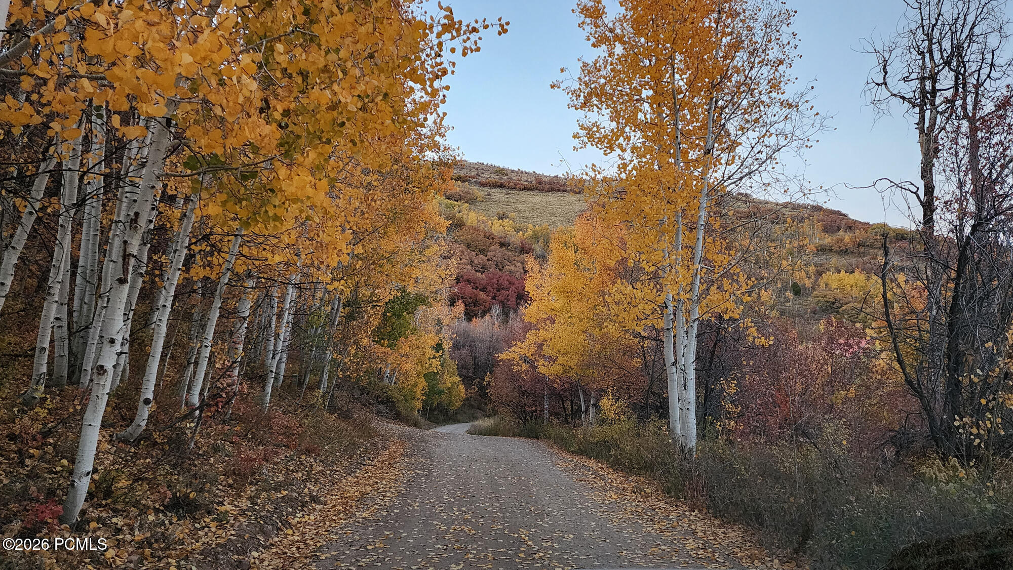 156 Mountain View 156