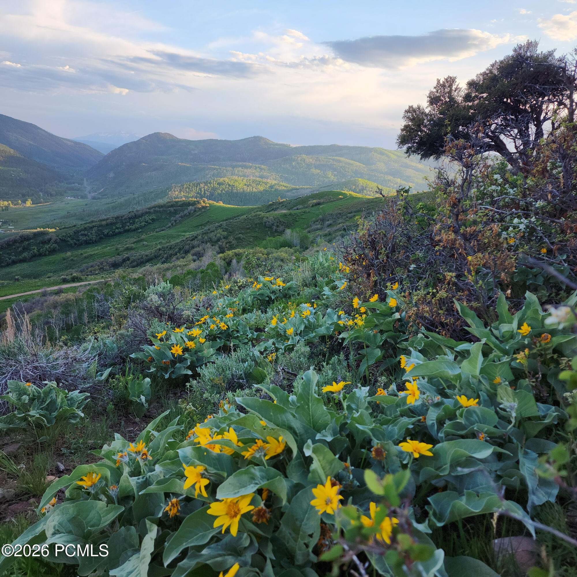 156 Mountain View 156