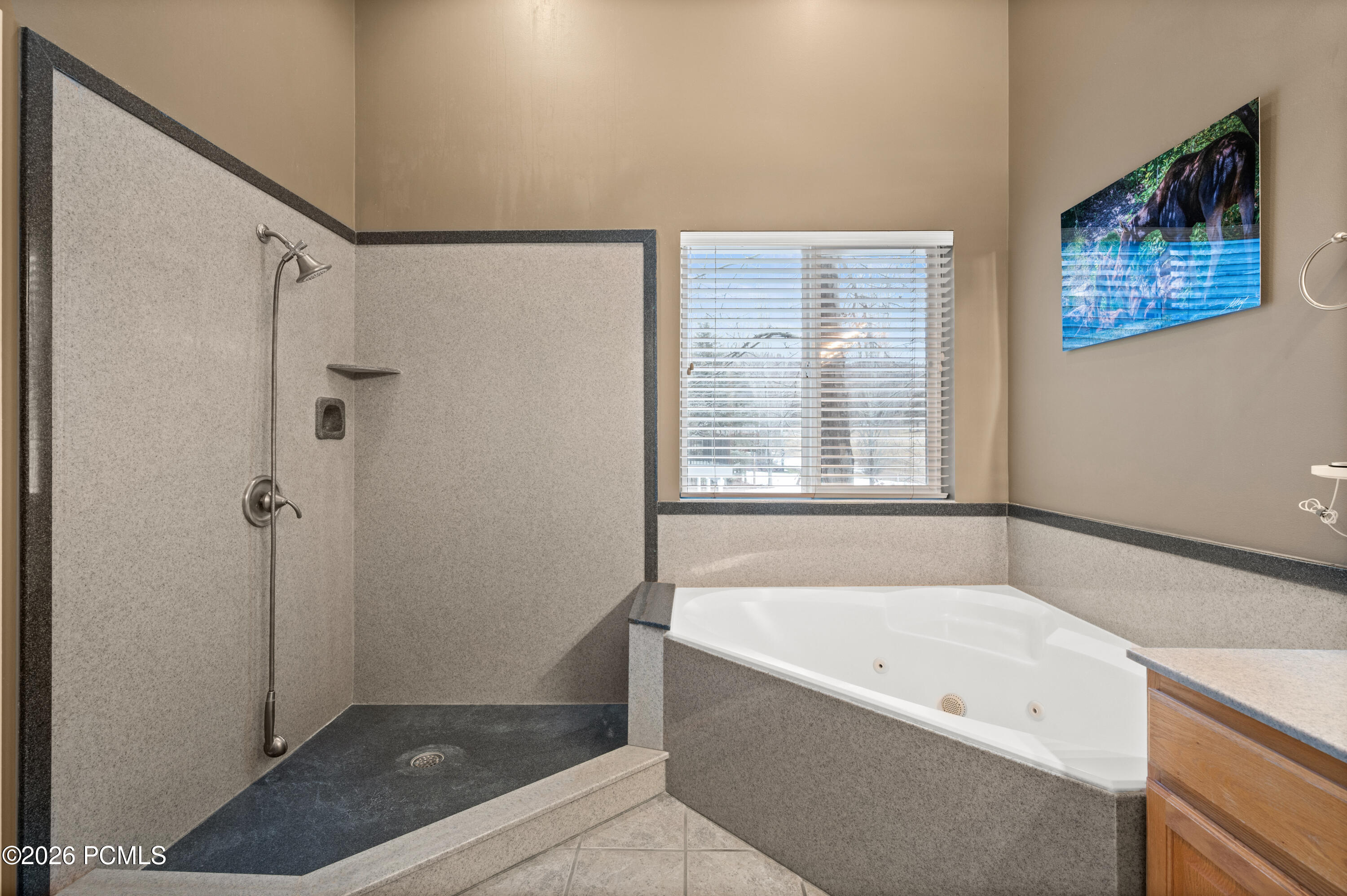 8770 Silver Spur Road