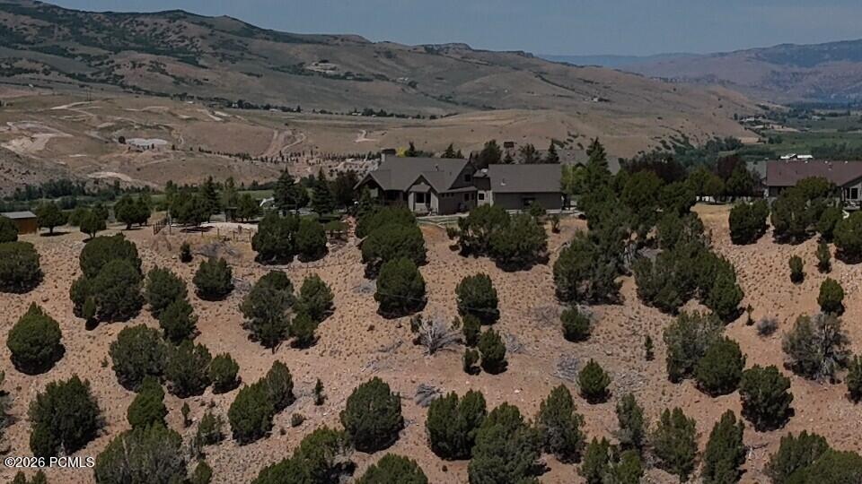 1167 Trail Ridge Drive 8