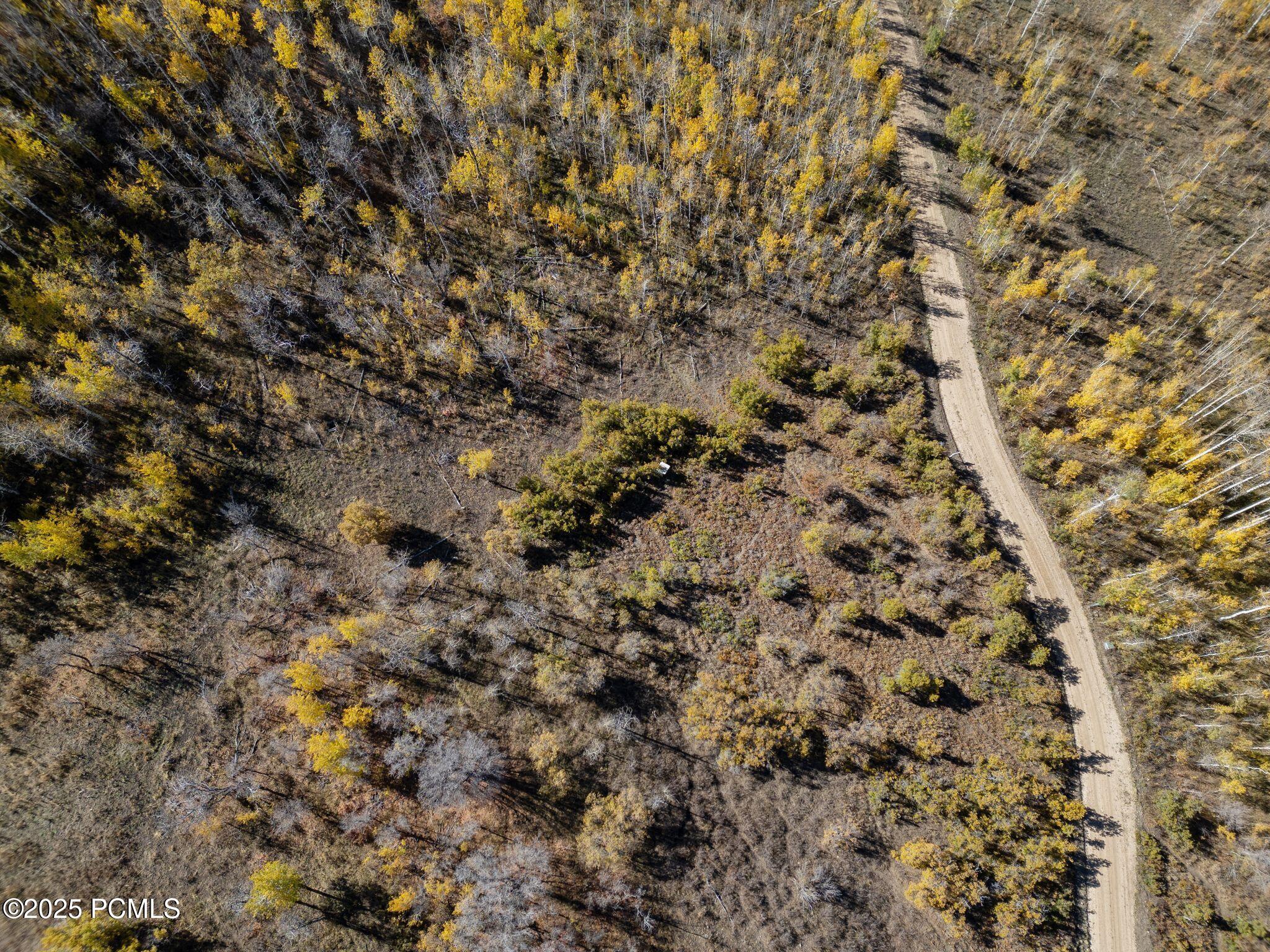 276 W Bear Tooth Ridge 25