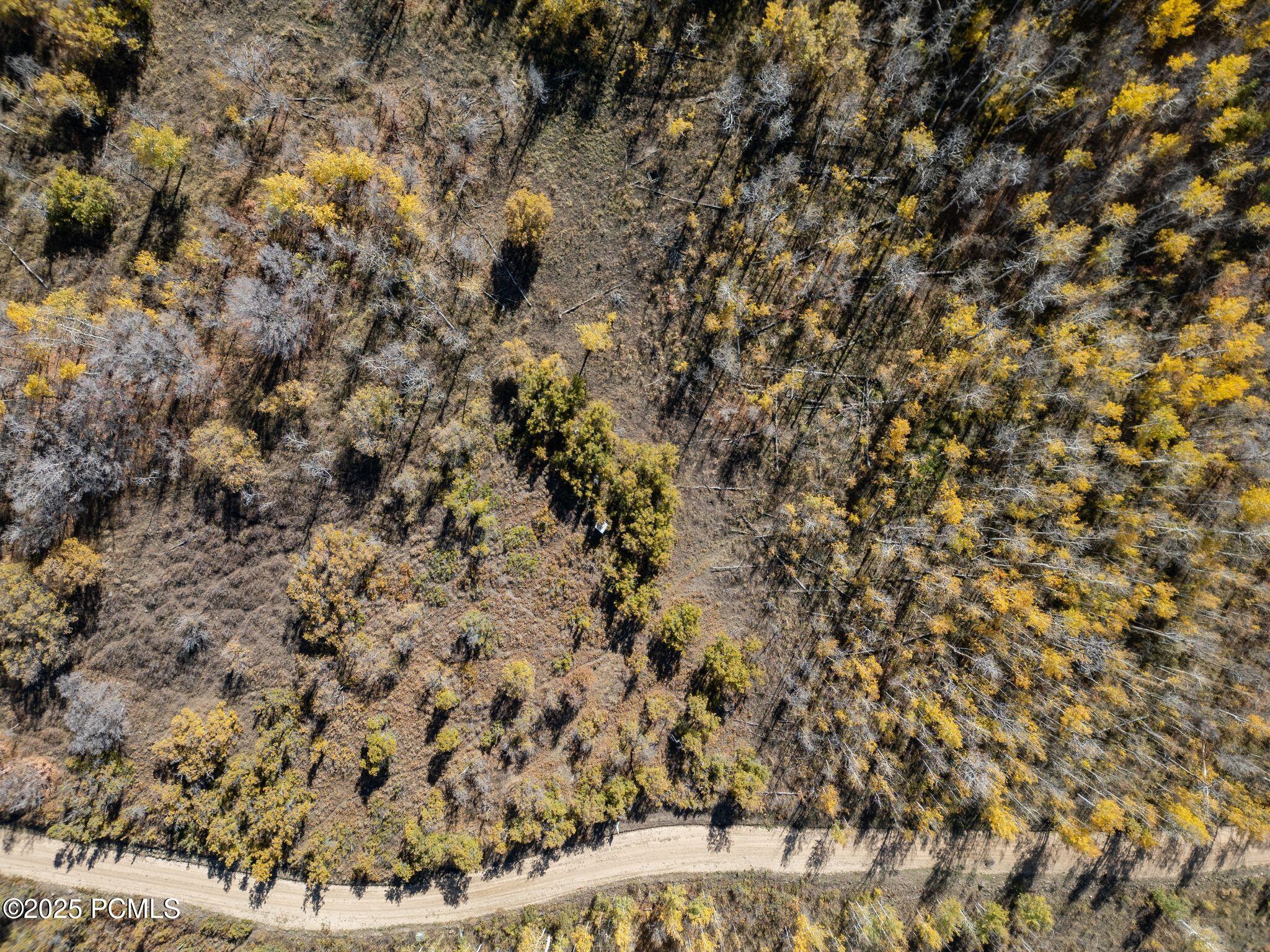 276 W Bear Tooth Ridge 25