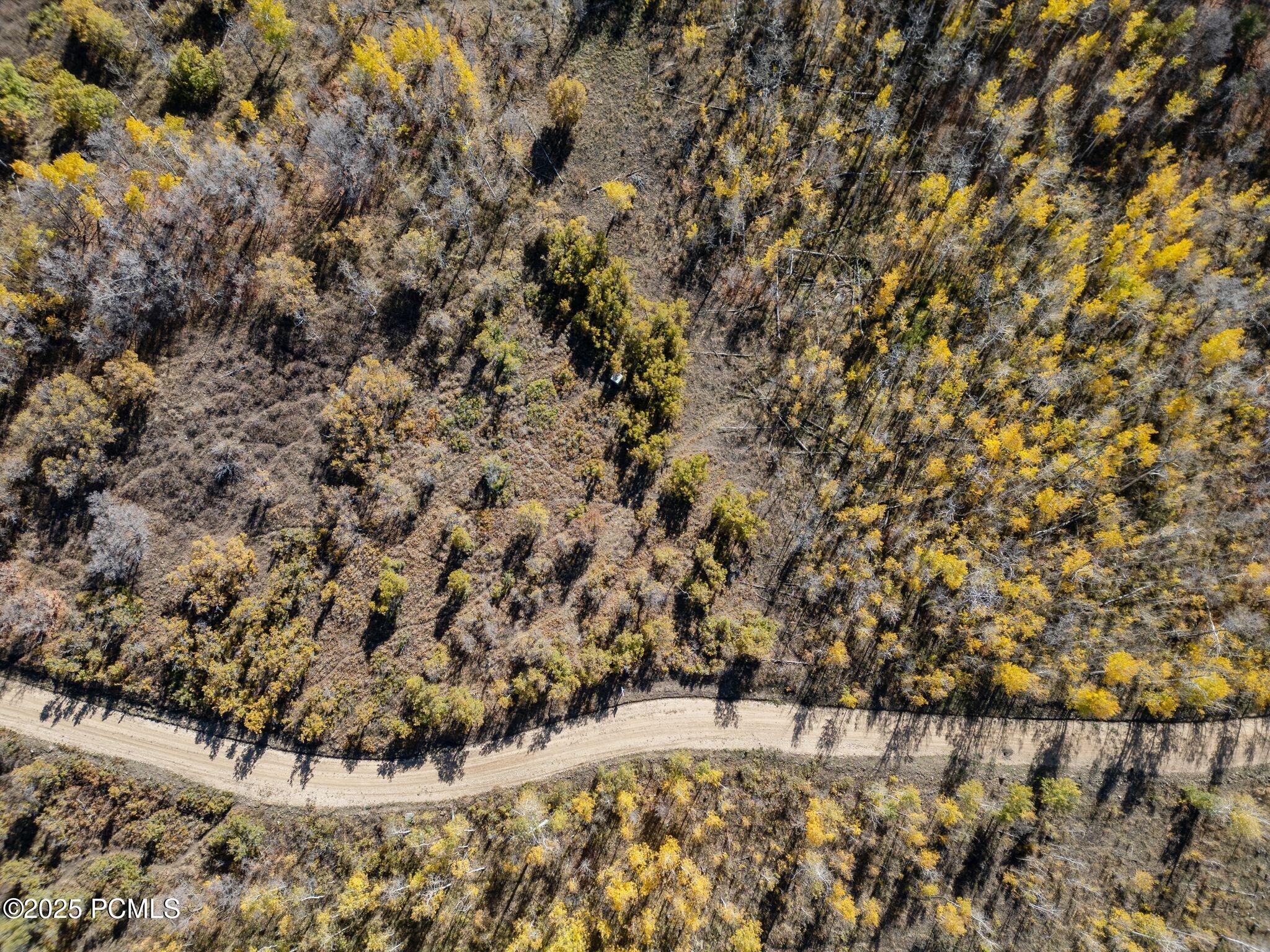 276 W Bear Tooth Ridge 25