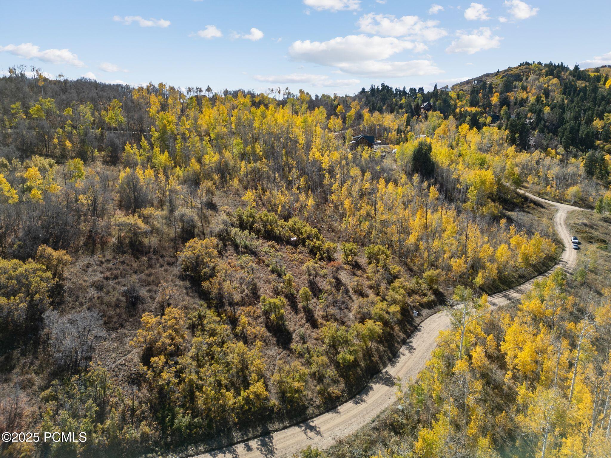 276 W Bear Tooth Ridge 25