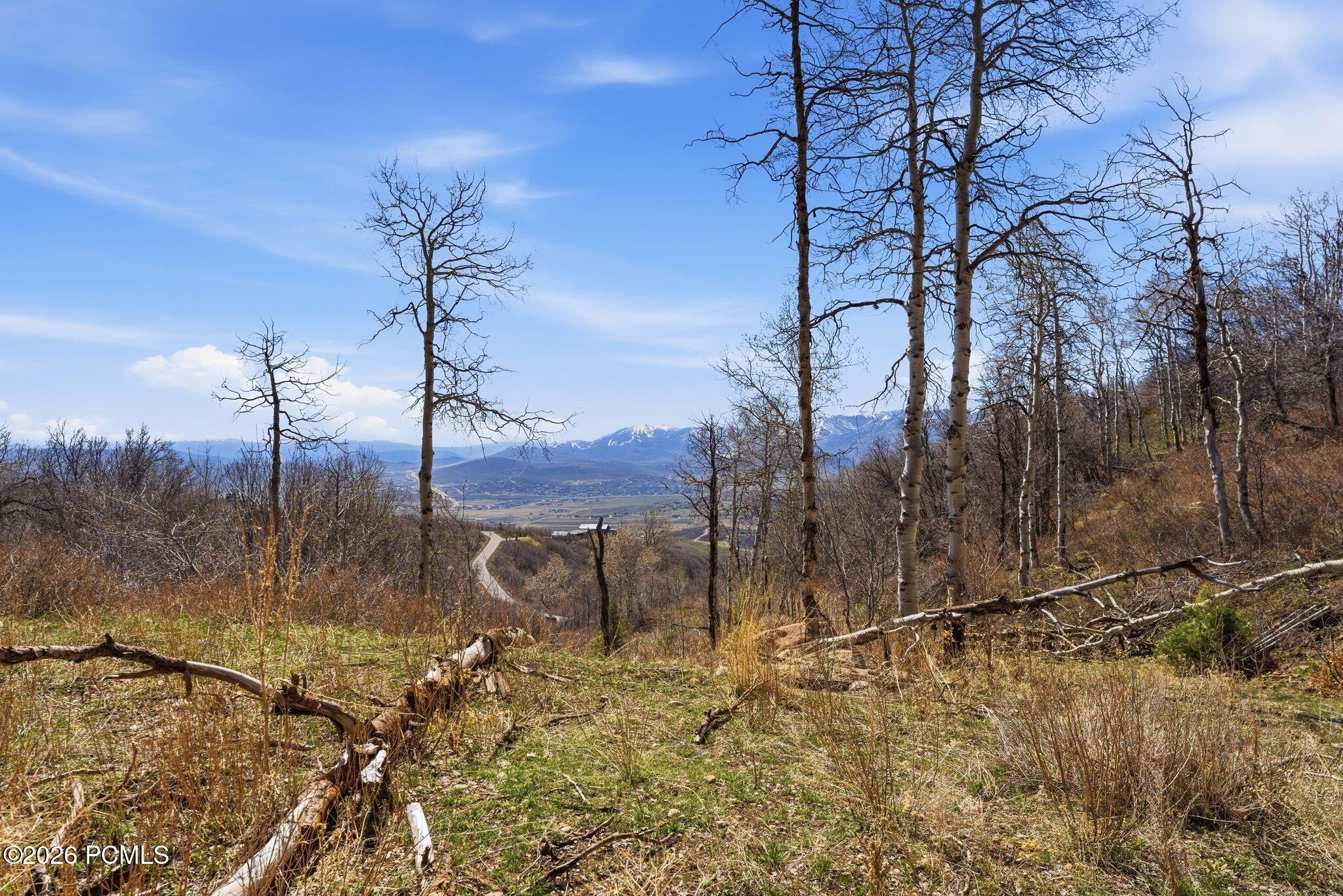 1980 Lower Cove Road 61