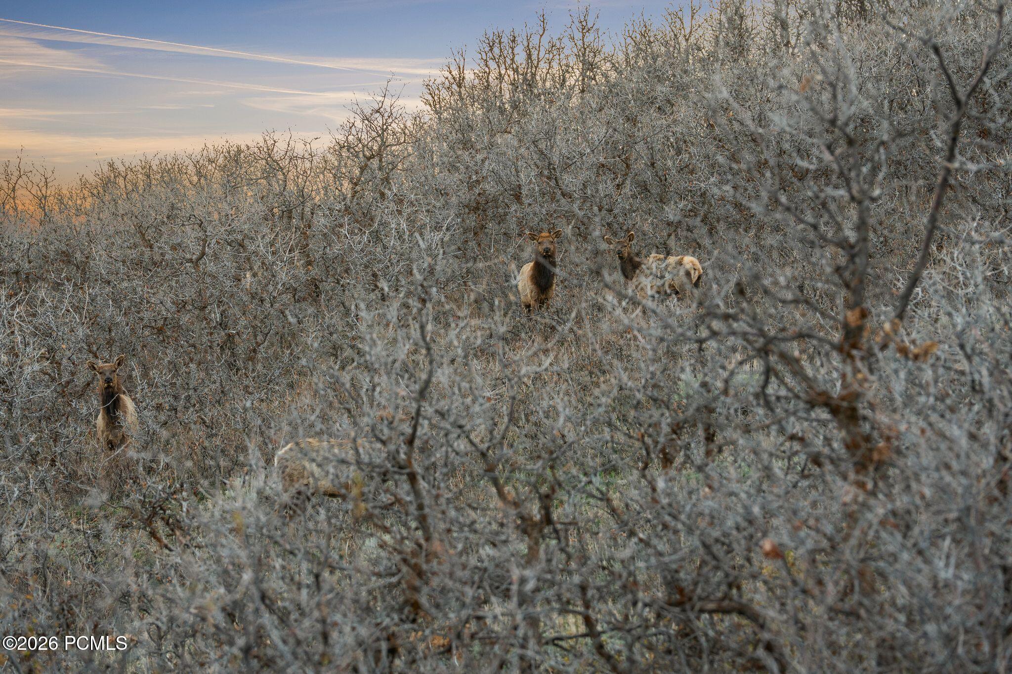 1980 Lower Cove Road 61