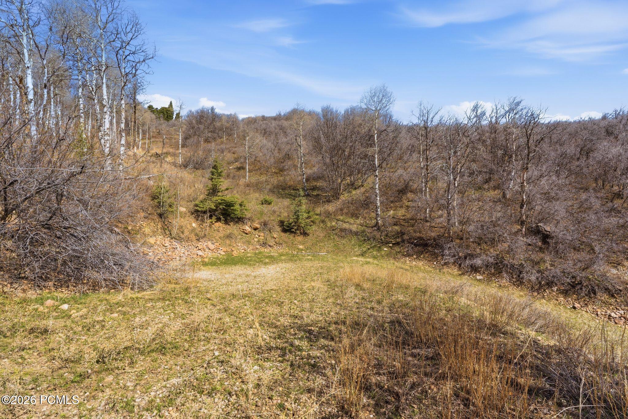 1980 Lower Cove Road 61