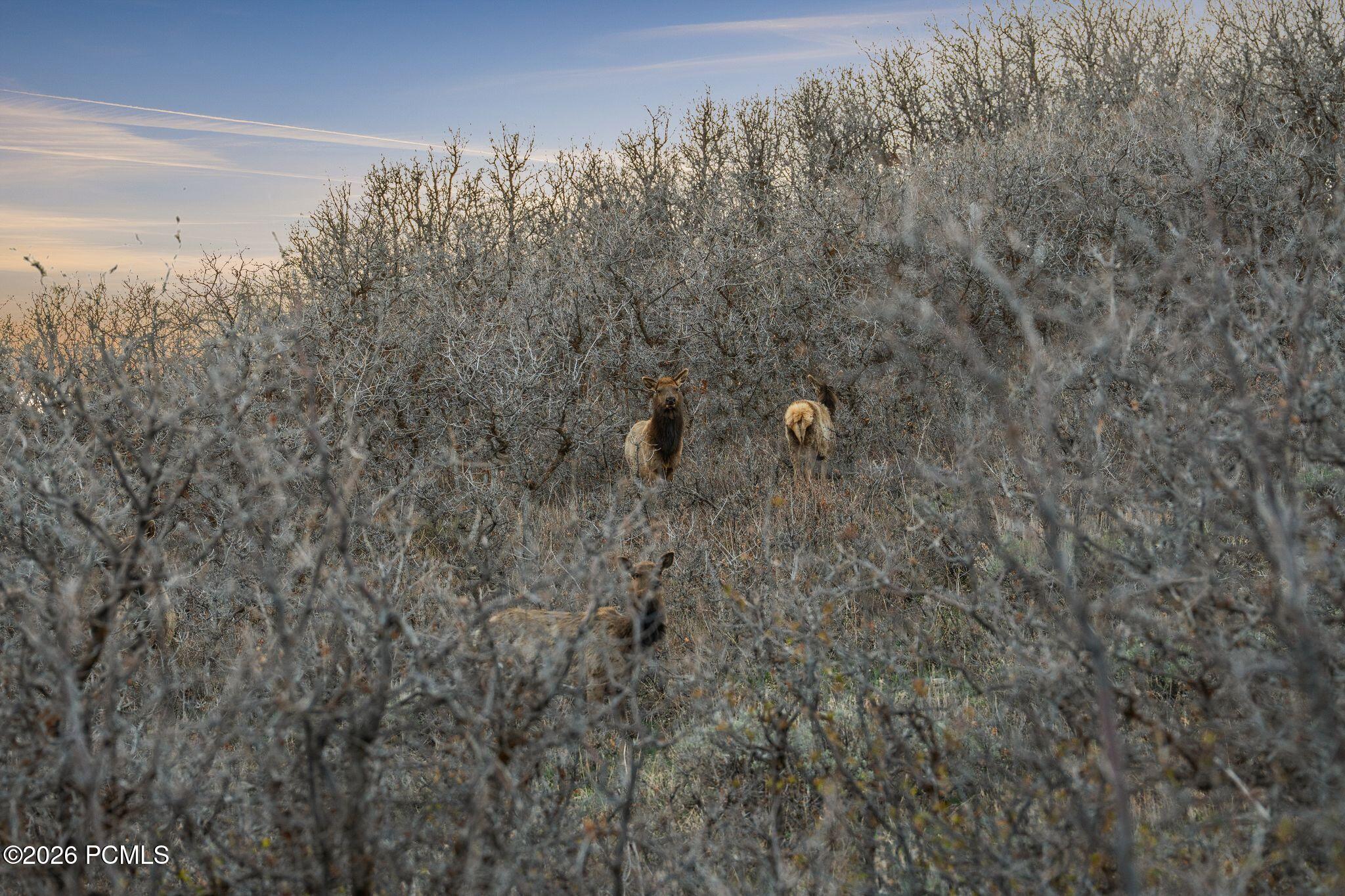 1980 Lower Cove Road 61