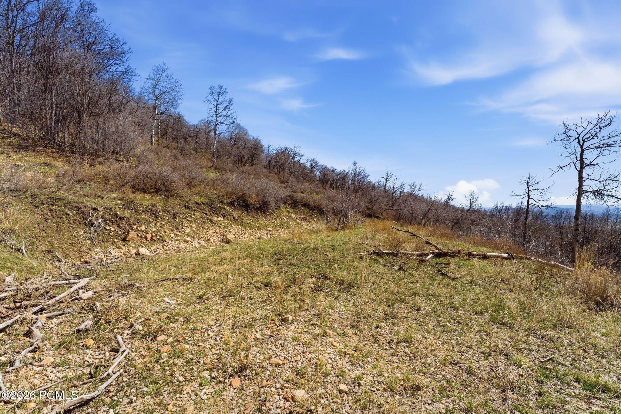 1980 Lower Cove Road 61