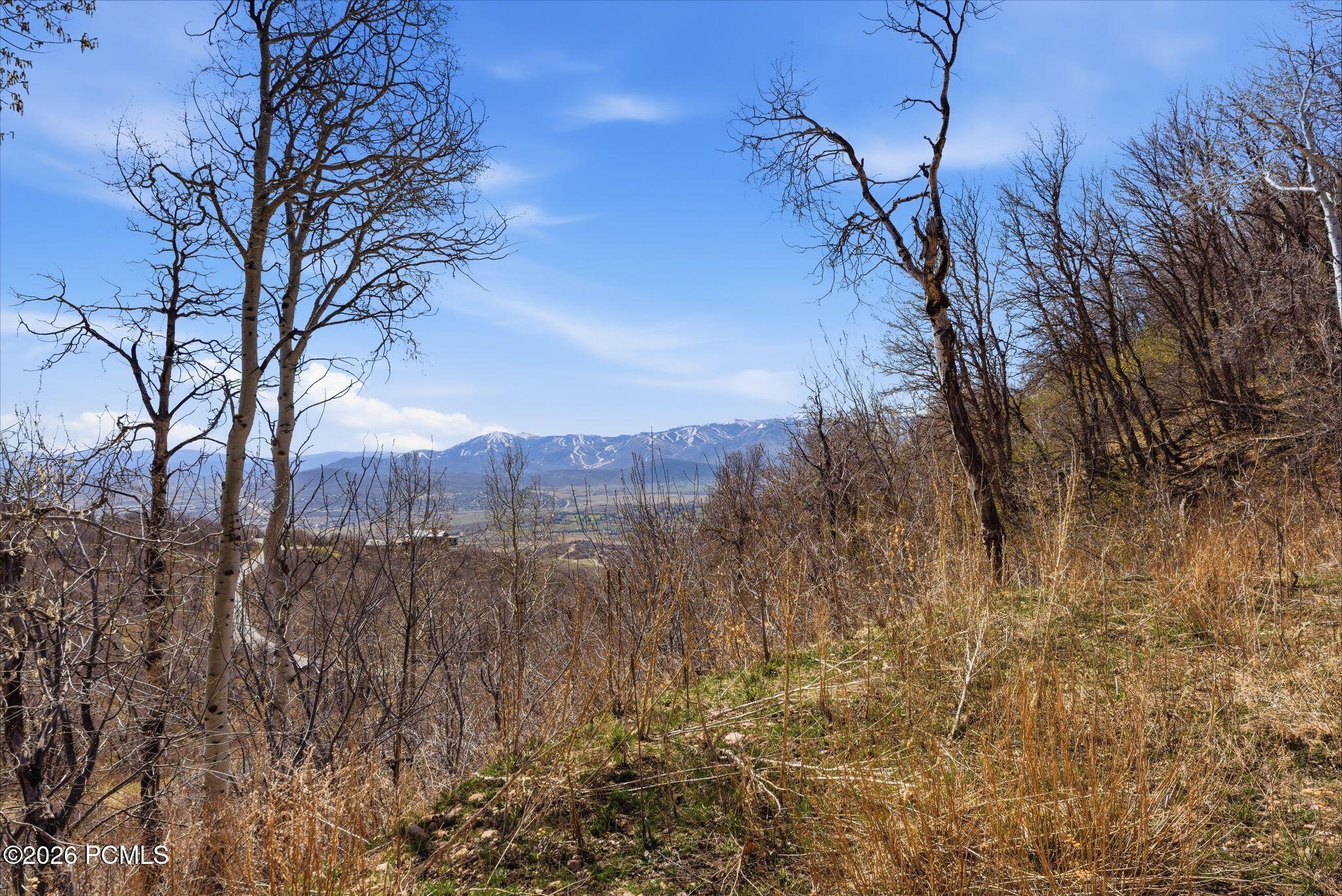 1980 Lower Cove Road 61