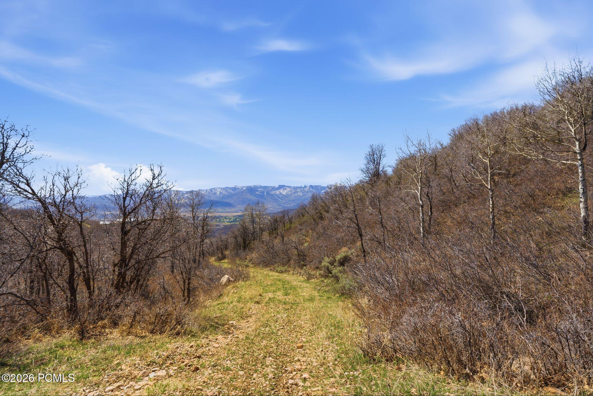 1980 Lower Cove Road 61