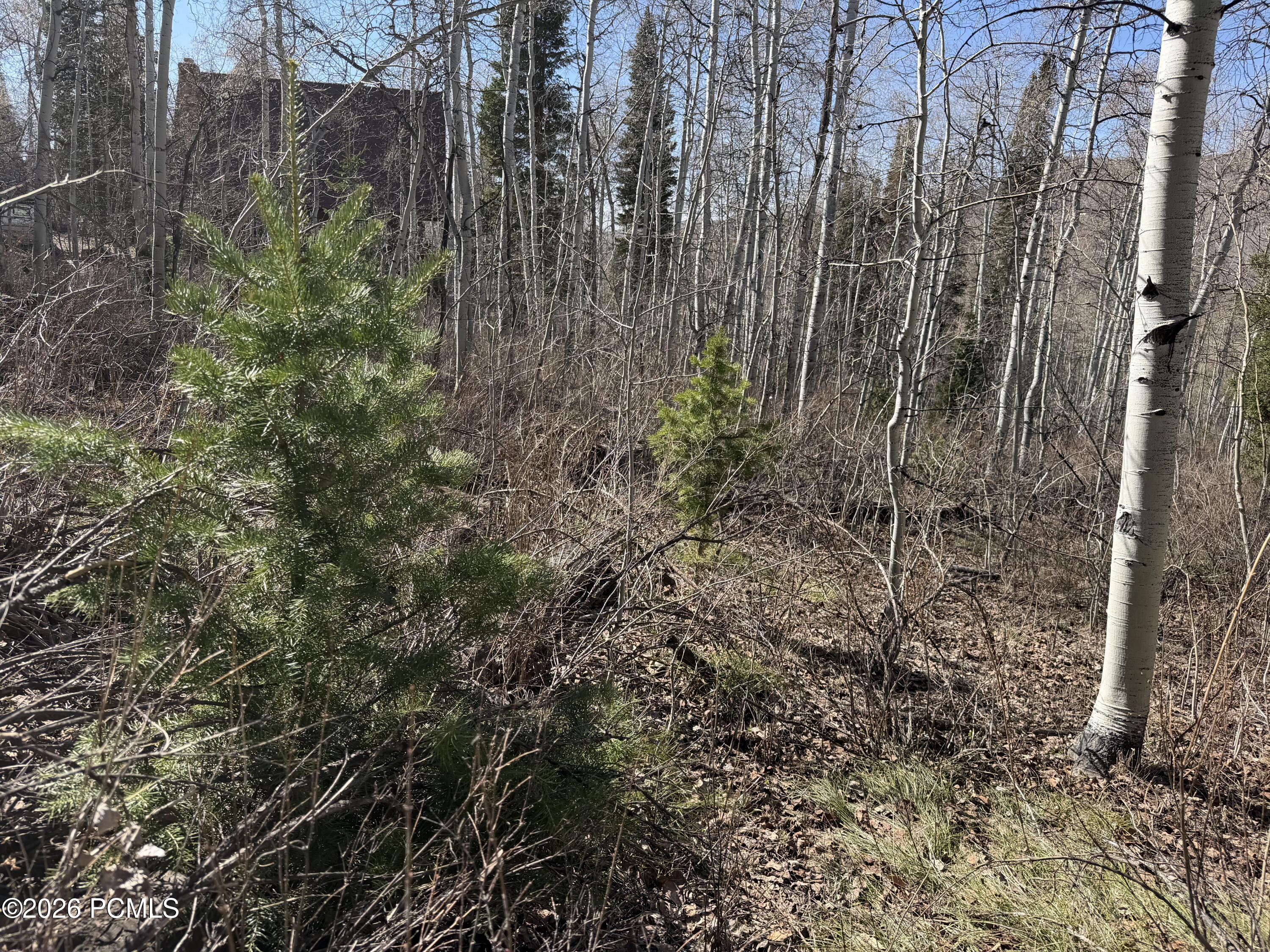 5209 White Pine Circle 545