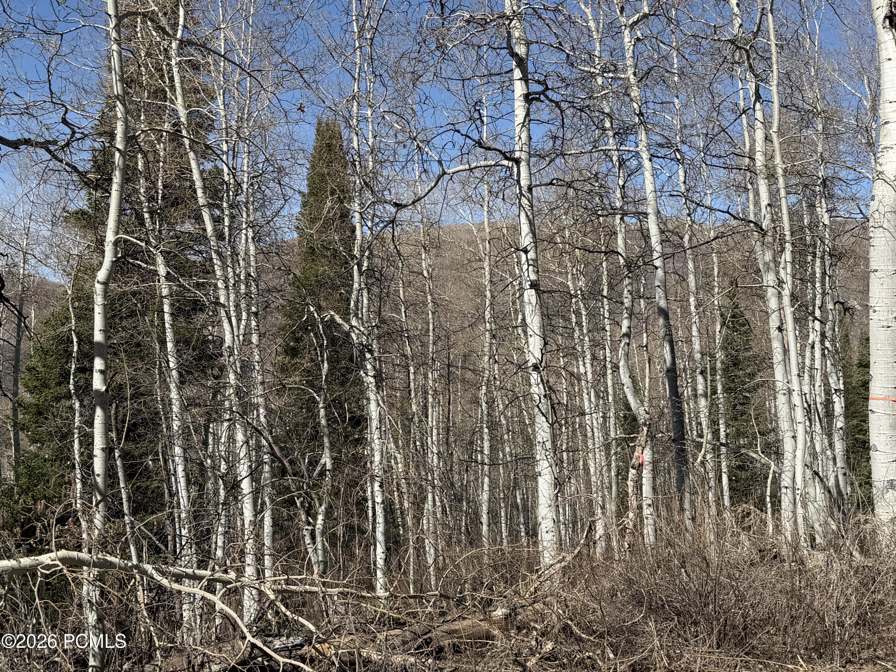 5209 White Pine Circle 545