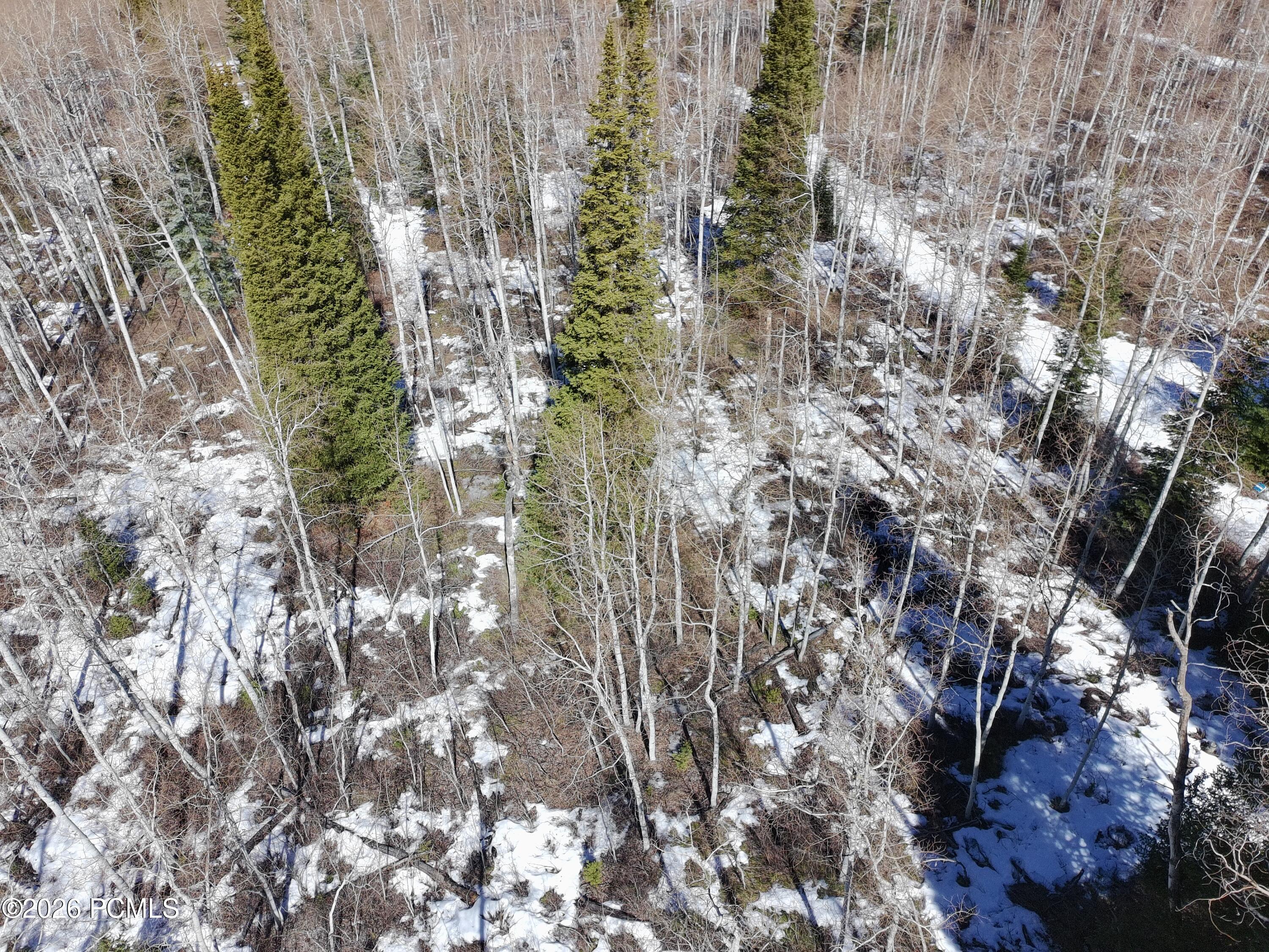 5209 White Pine Circle 545