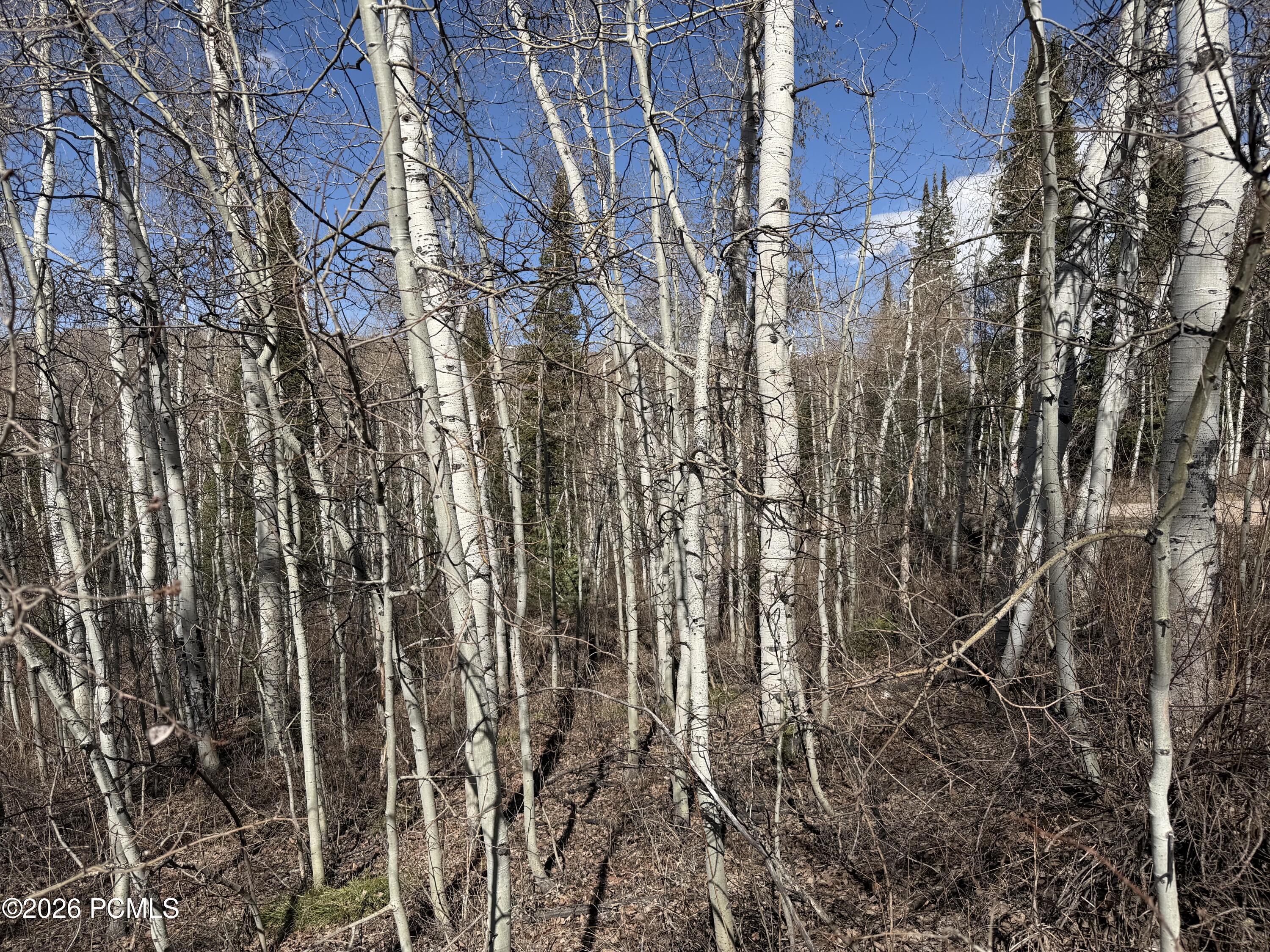 5209 White Pine Circle 545