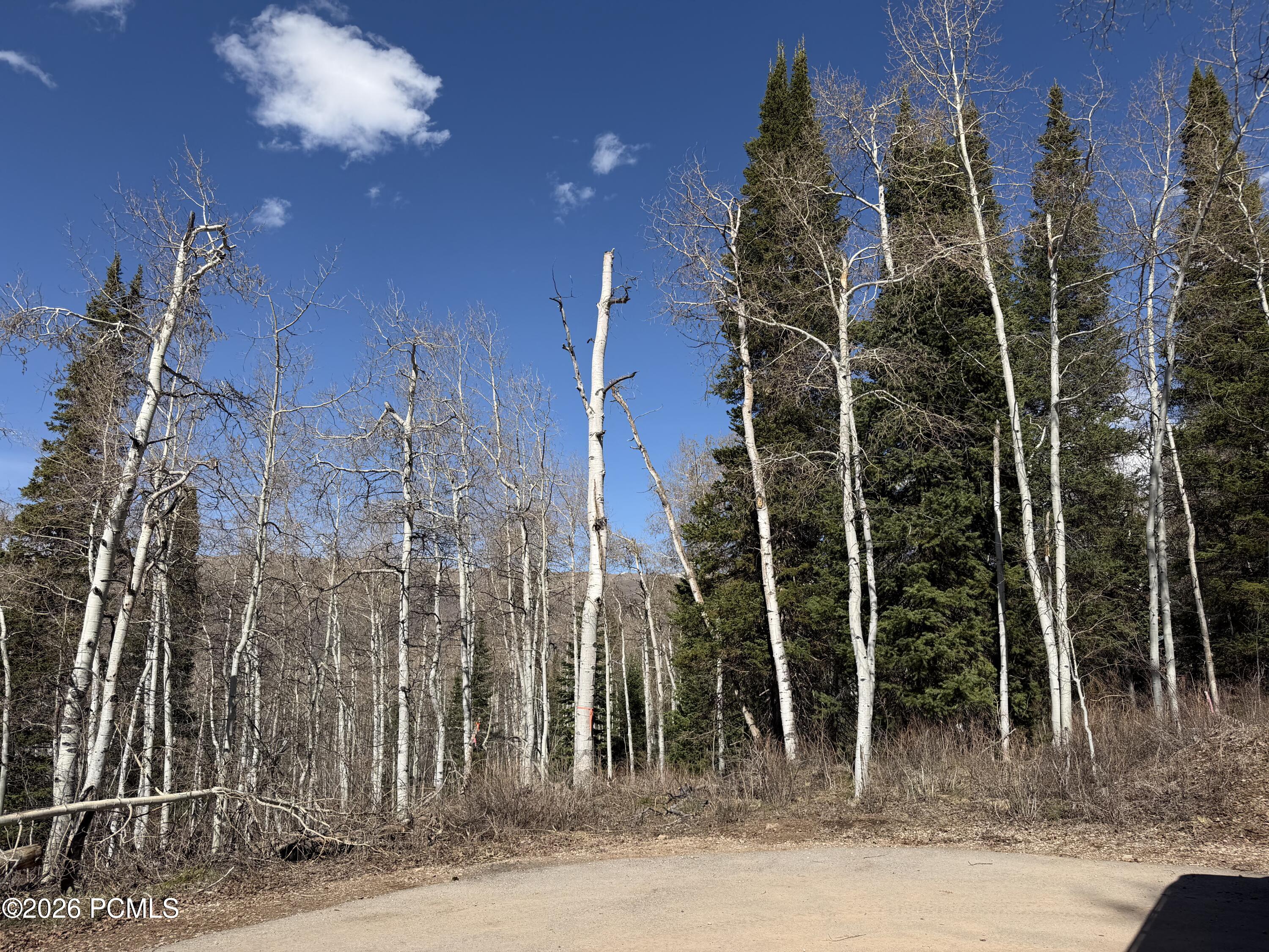 5209 White Pine Circle 545