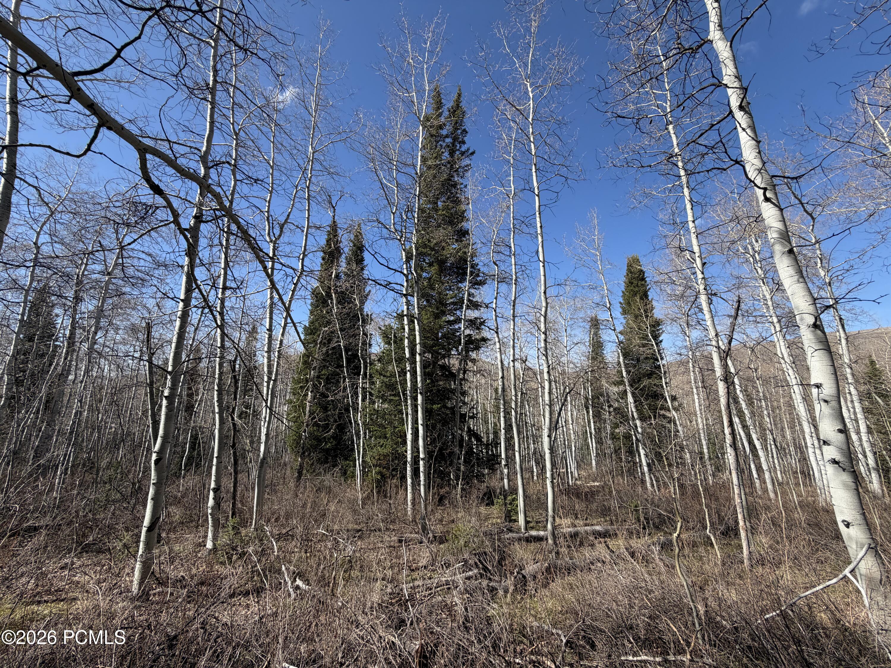 5209 White Pine Circle 545