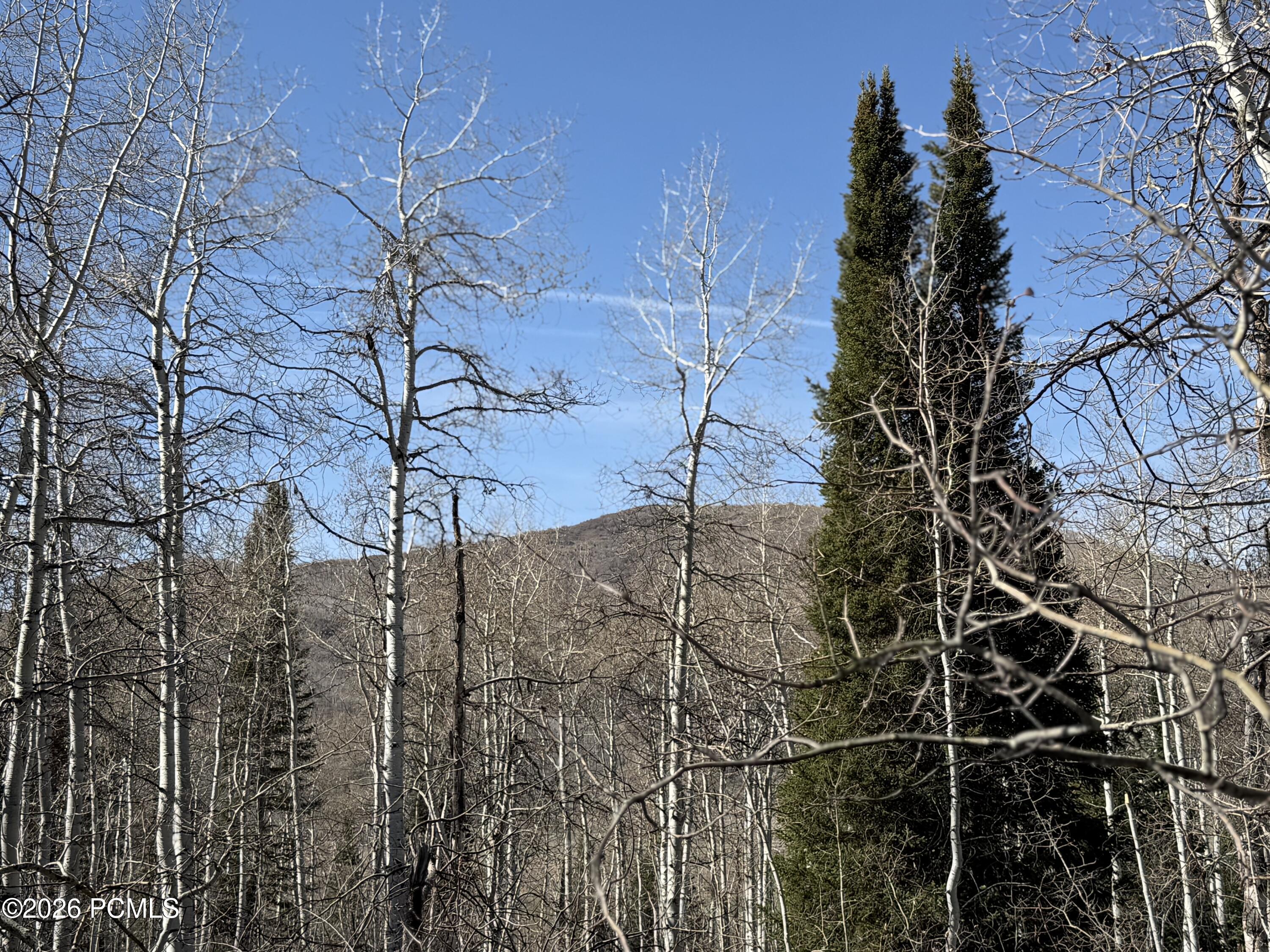 5209 White Pine Circle 545