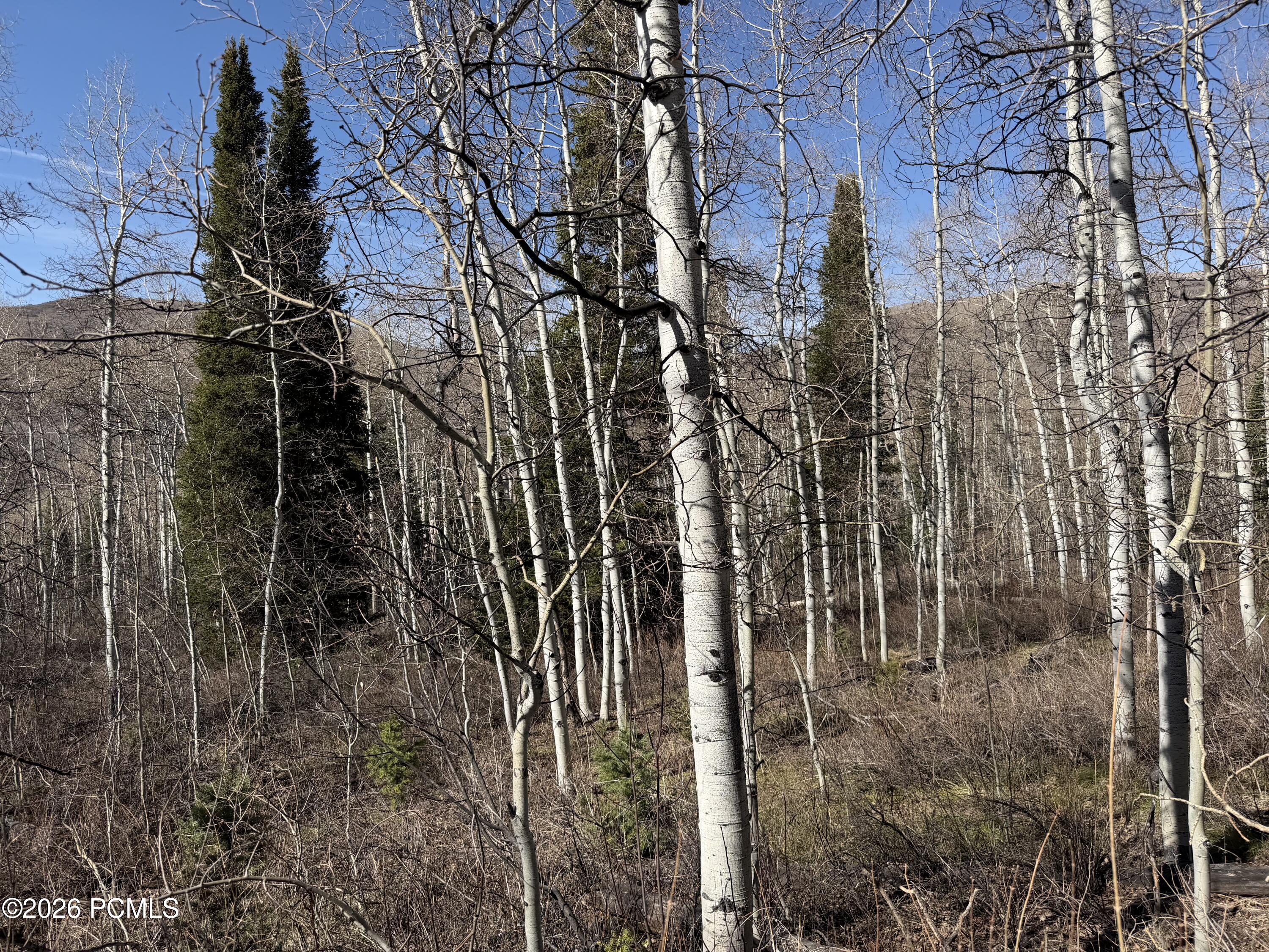 5209 White Pine Circle 545