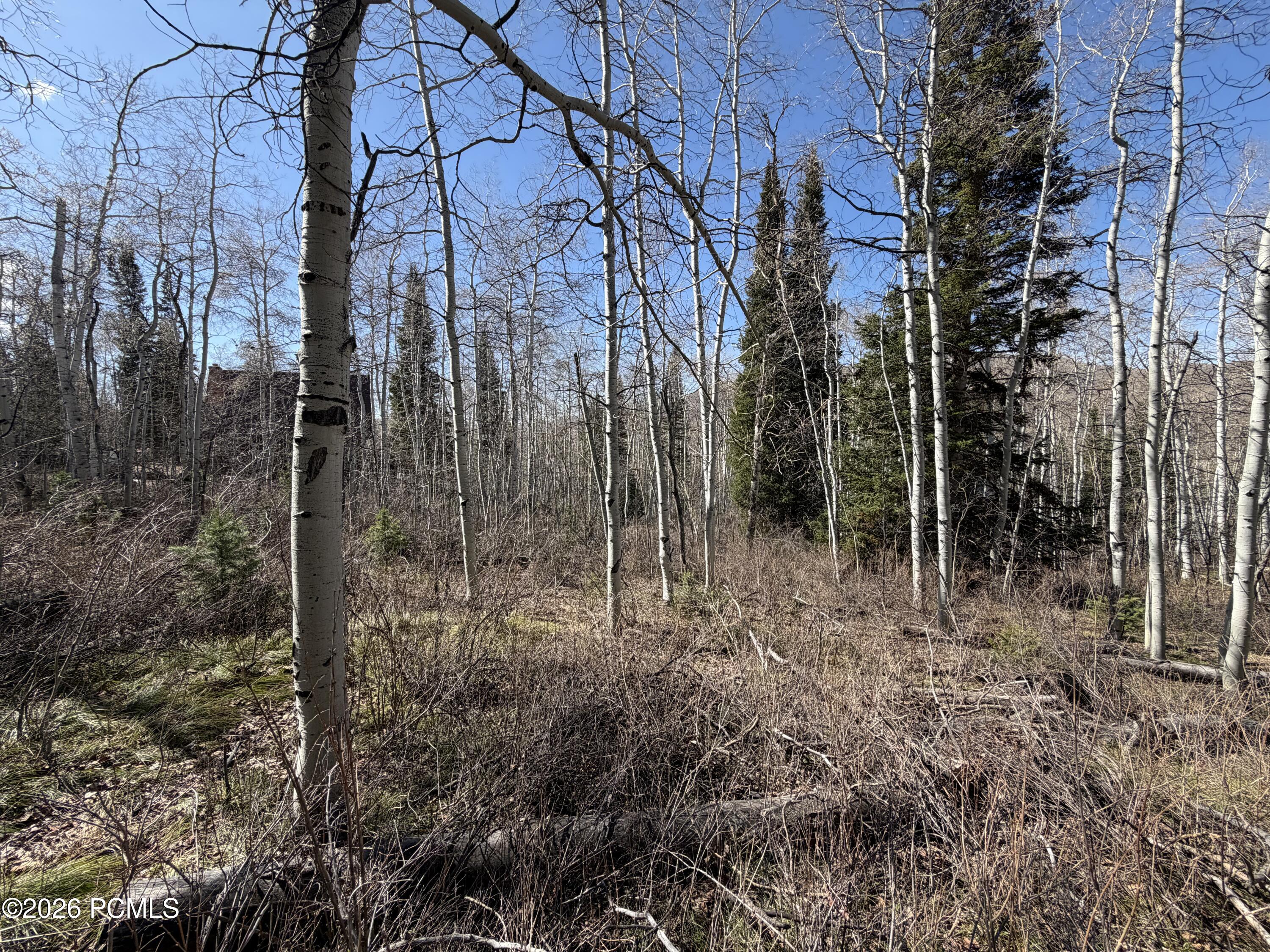 5209 White Pine Circle 545