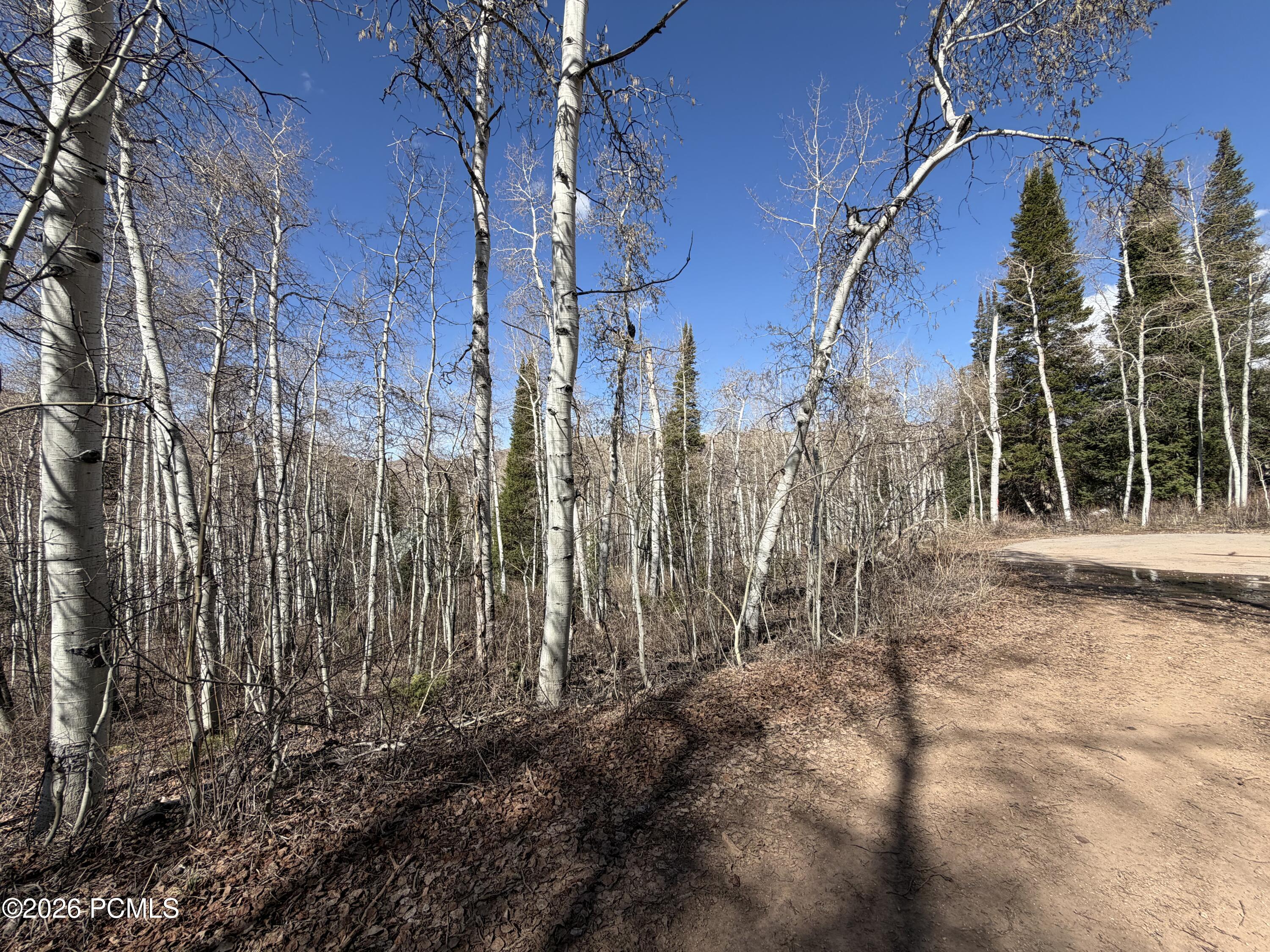 5209 White Pine Circle 545