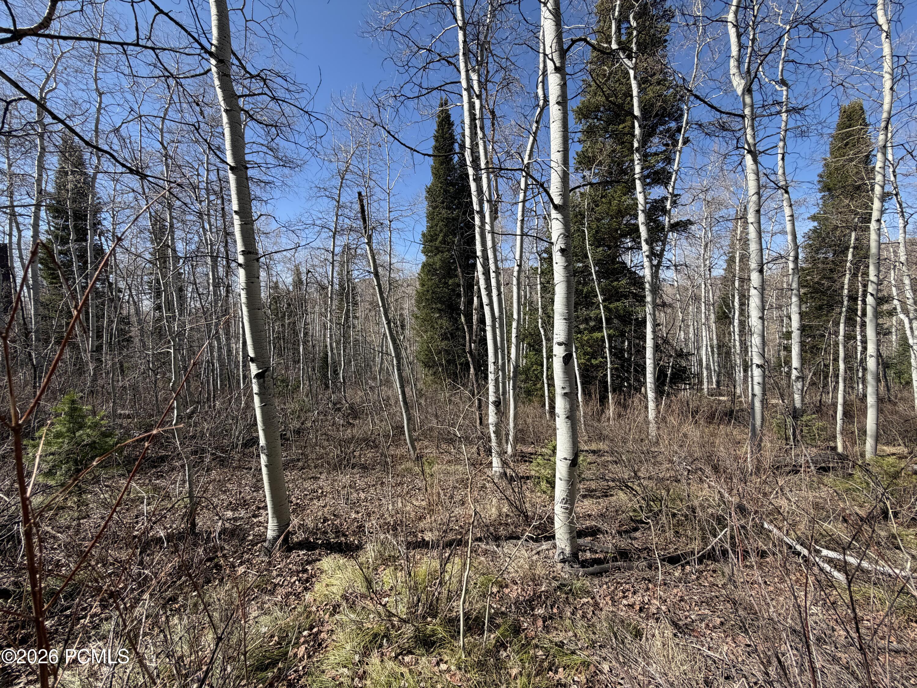 5209 White Pine Circle 545