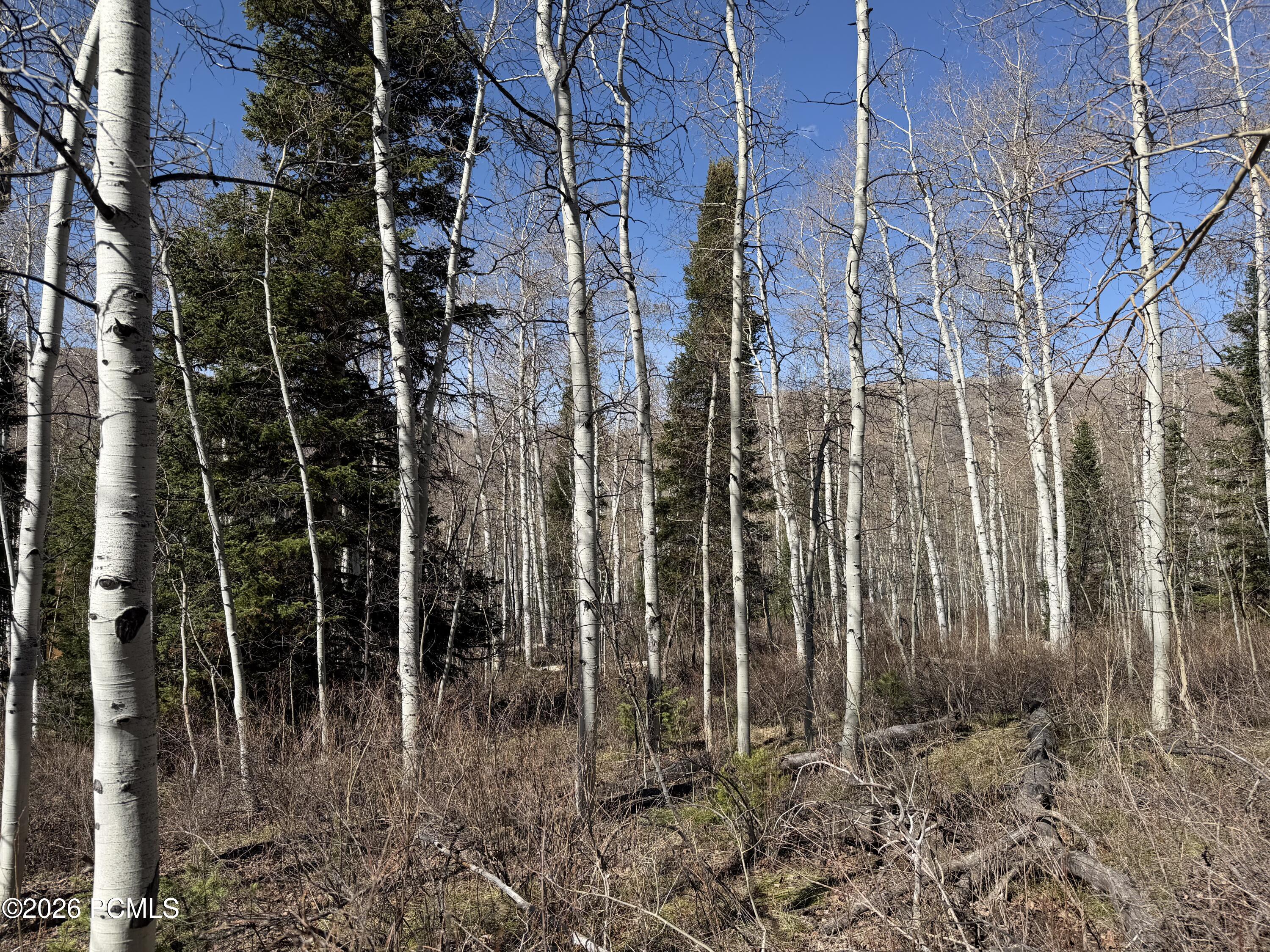 5209 White Pine Circle 545