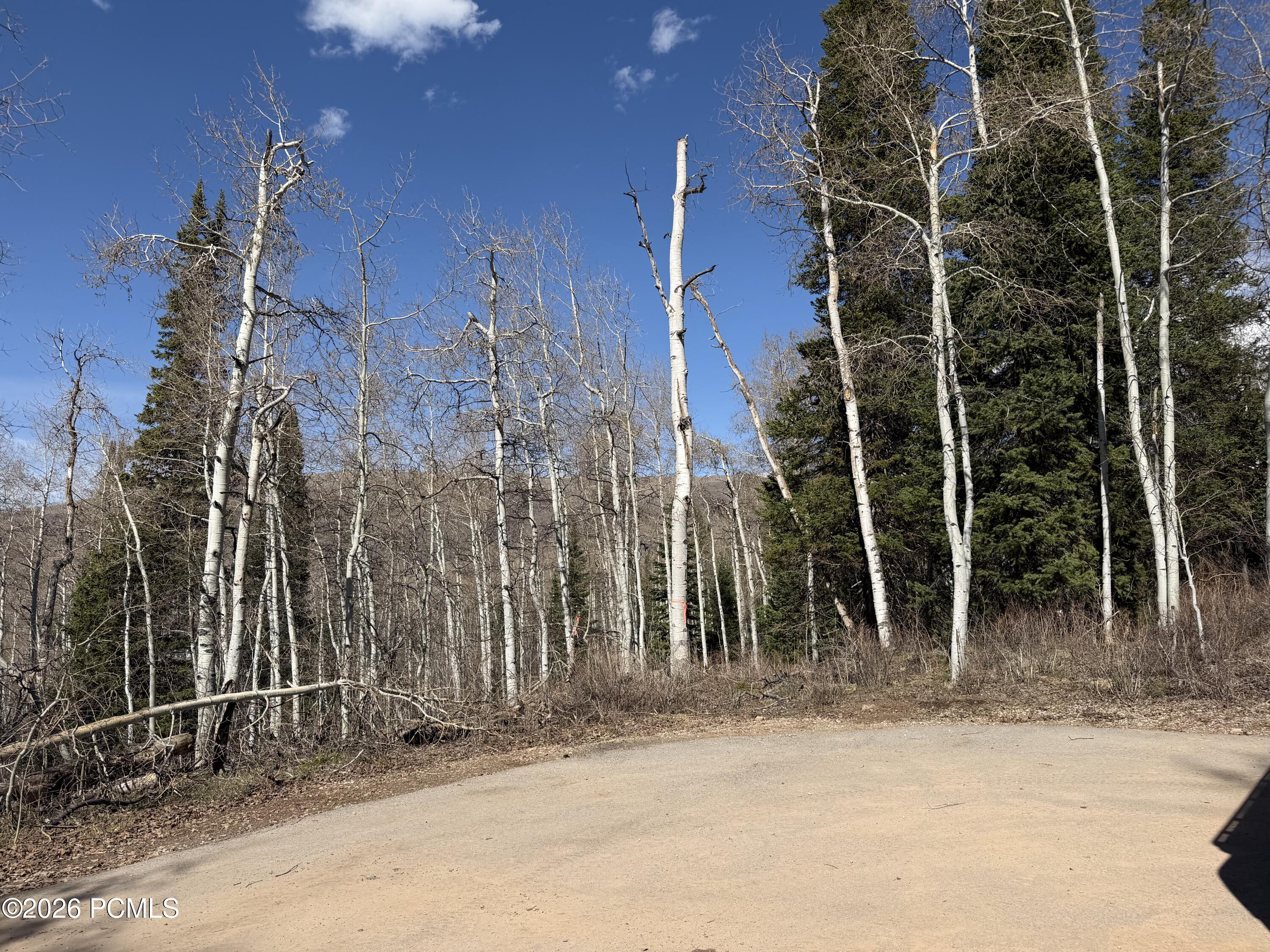 5209 White Pine Circle 545