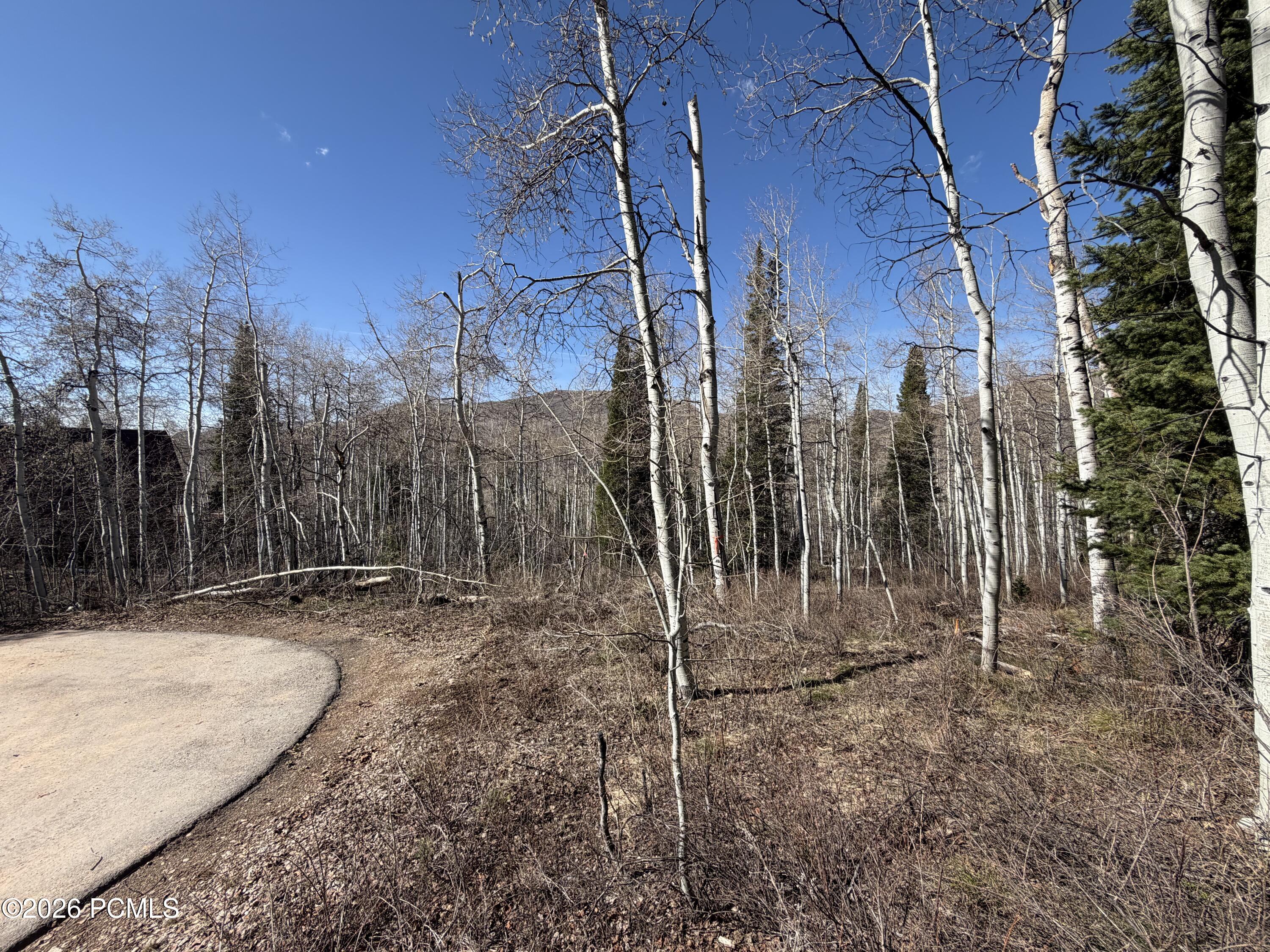 5209 White Pine Circle 545