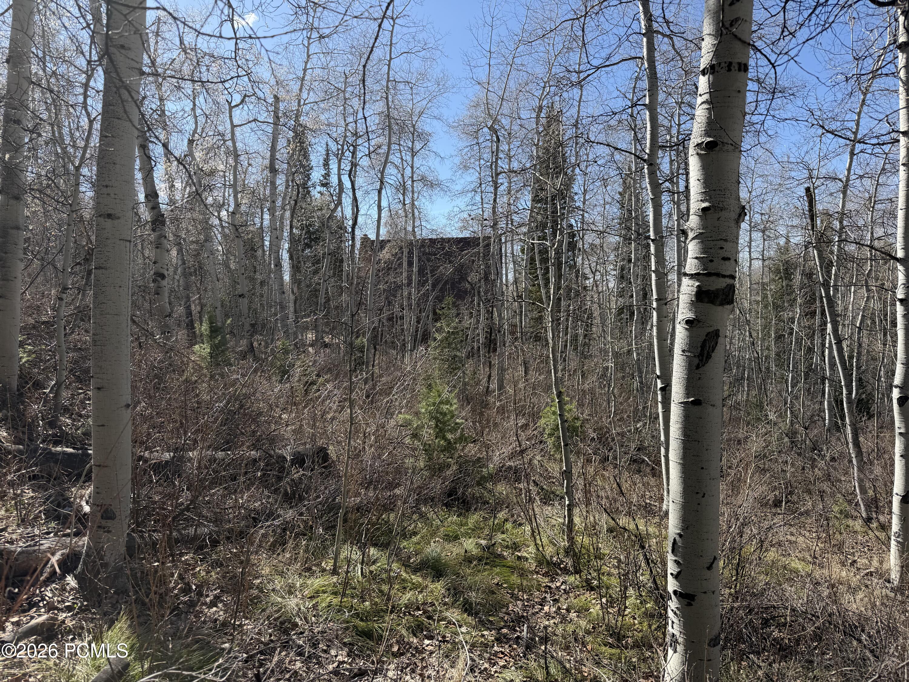 5209 White Pine Circle 545