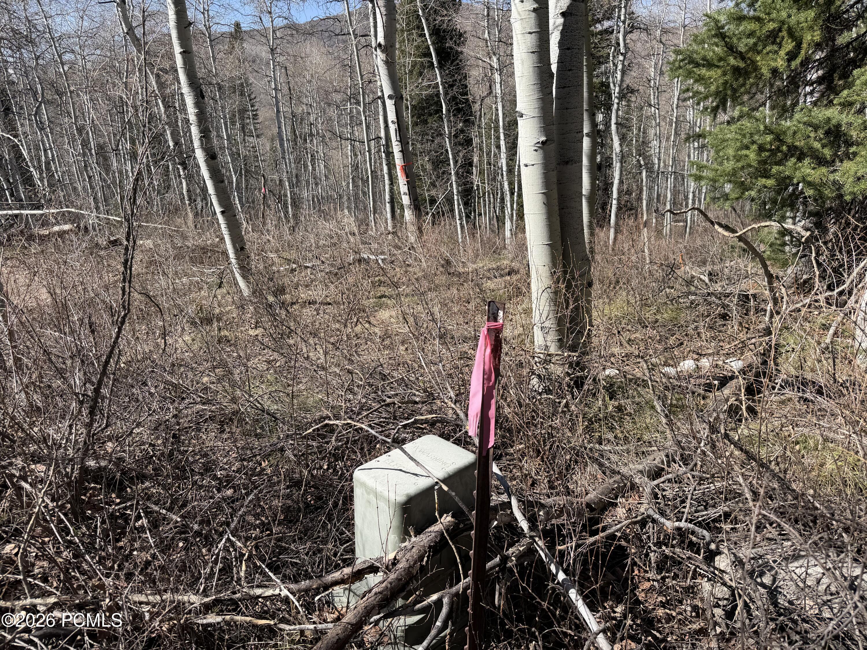 5209 White Pine Circle 545