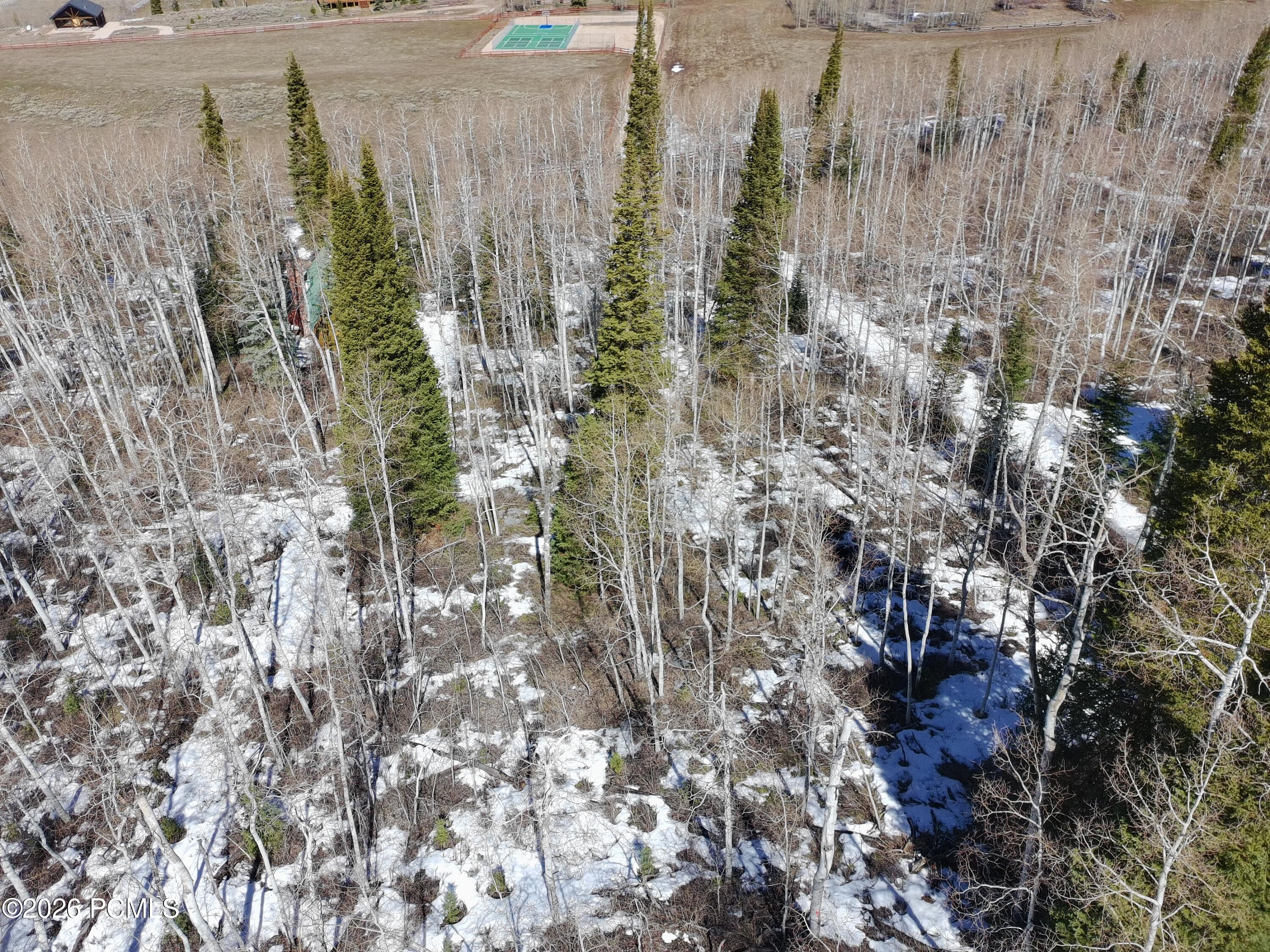 5209 White Pine Circle 545