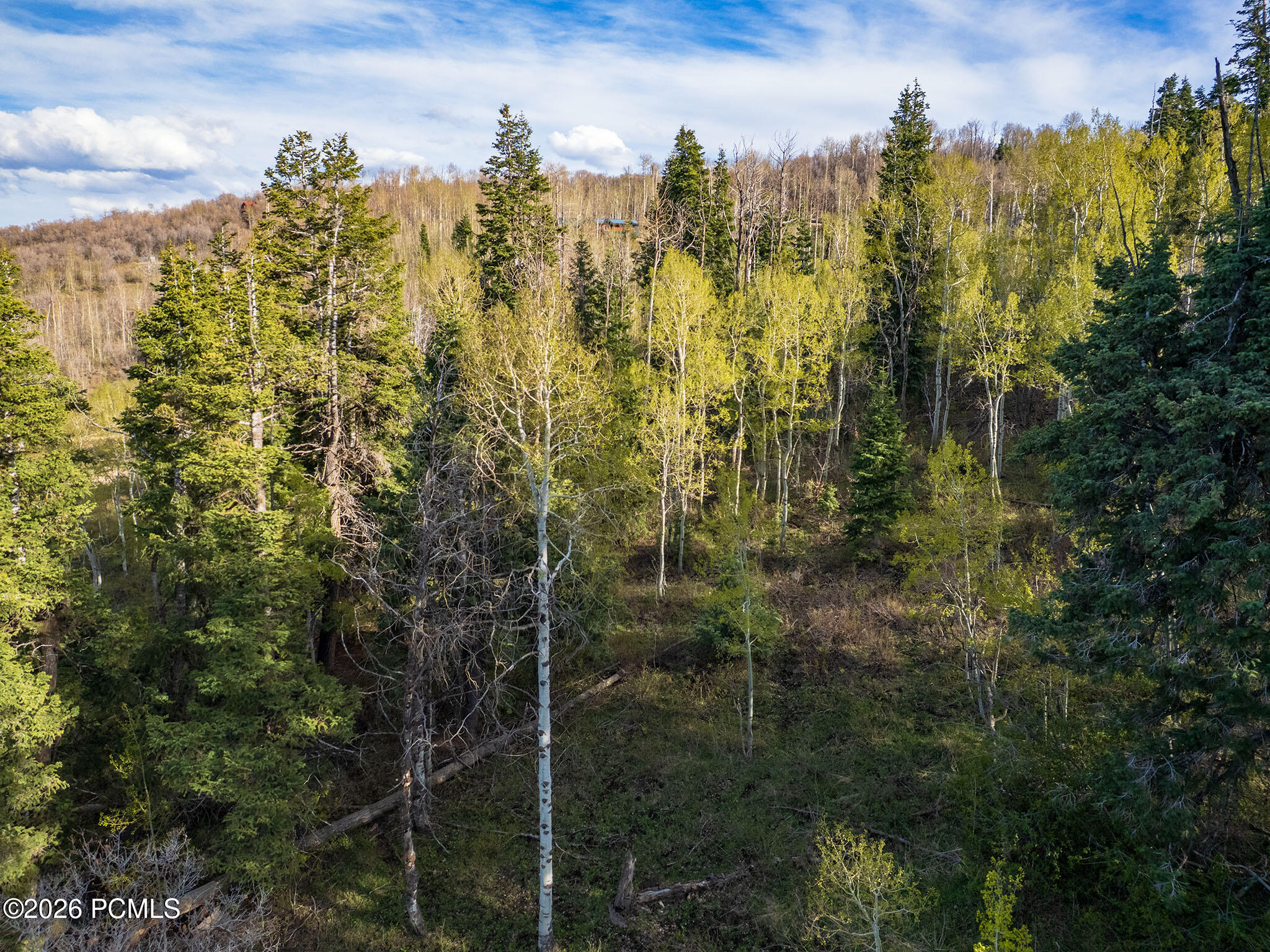 2462 S Bull Moose Drive 46