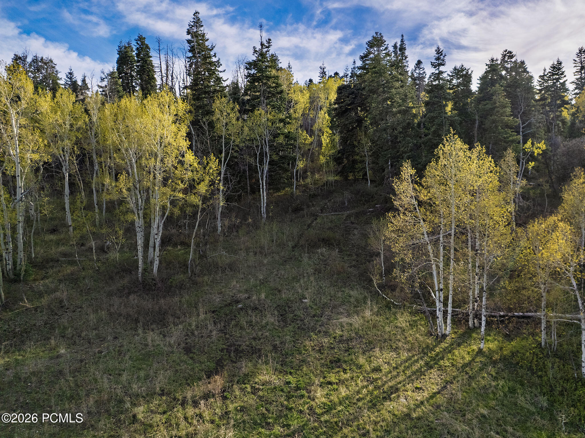 2462 S Bull Moose Drive 46