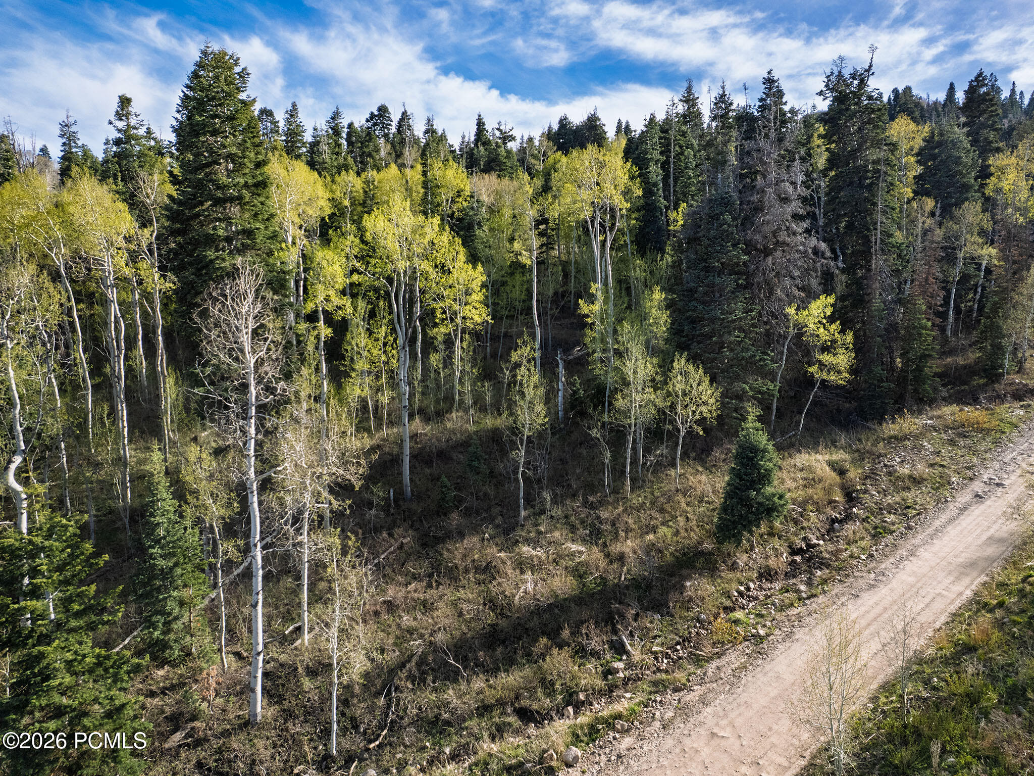 2462 S Bull Moose Drive 46