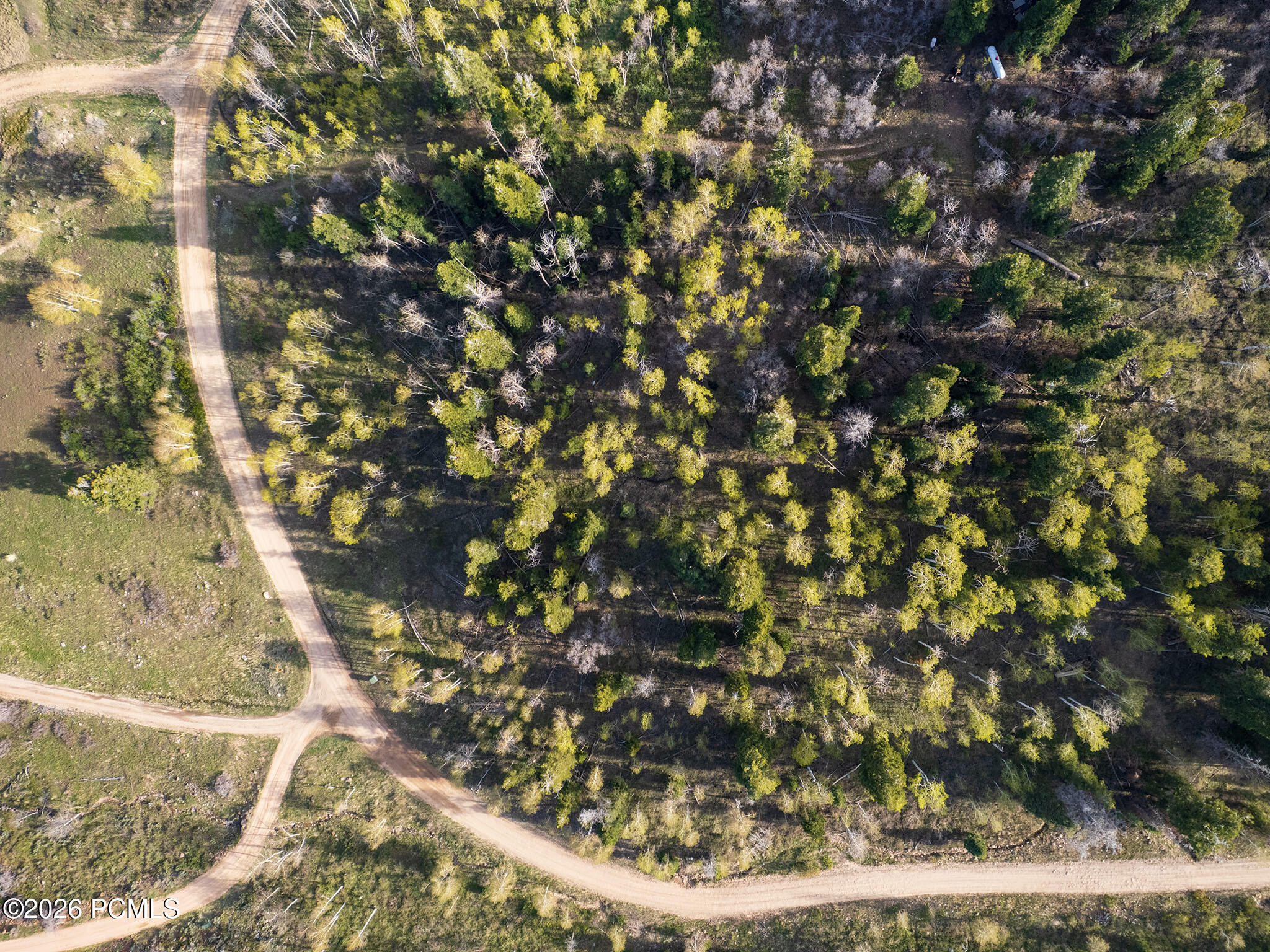 2462 S Bull Moose Drive 46