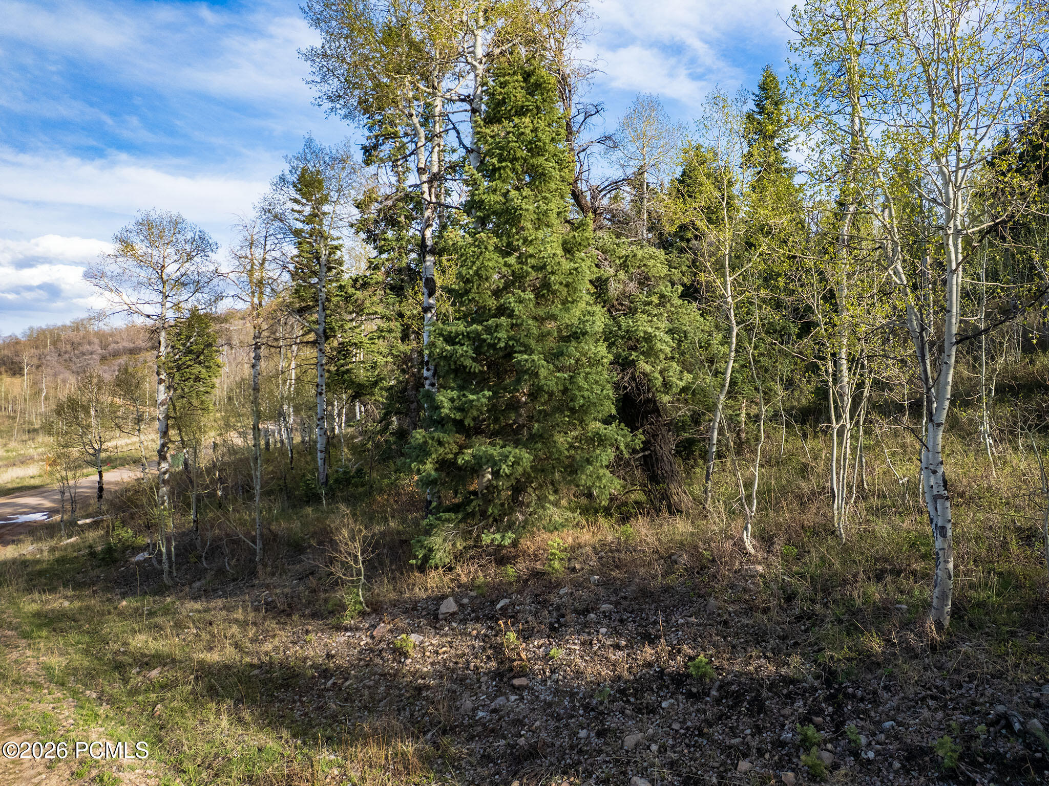 2462 S Bull Moose Drive 46